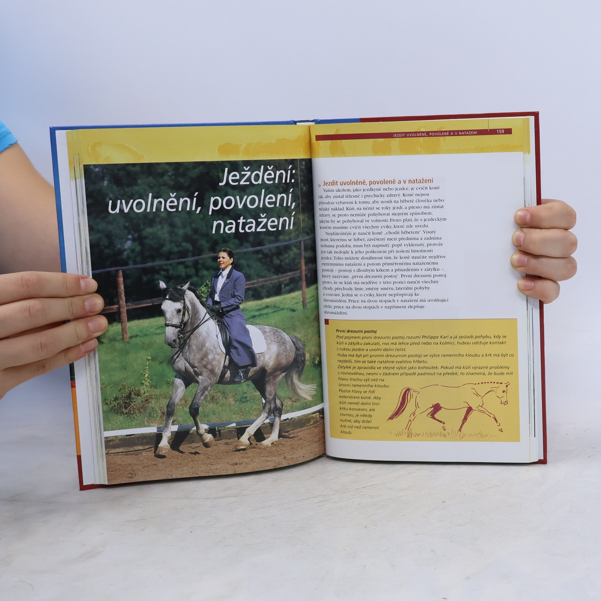 Bea Borelle Výcvik koní podle Bey Borelle