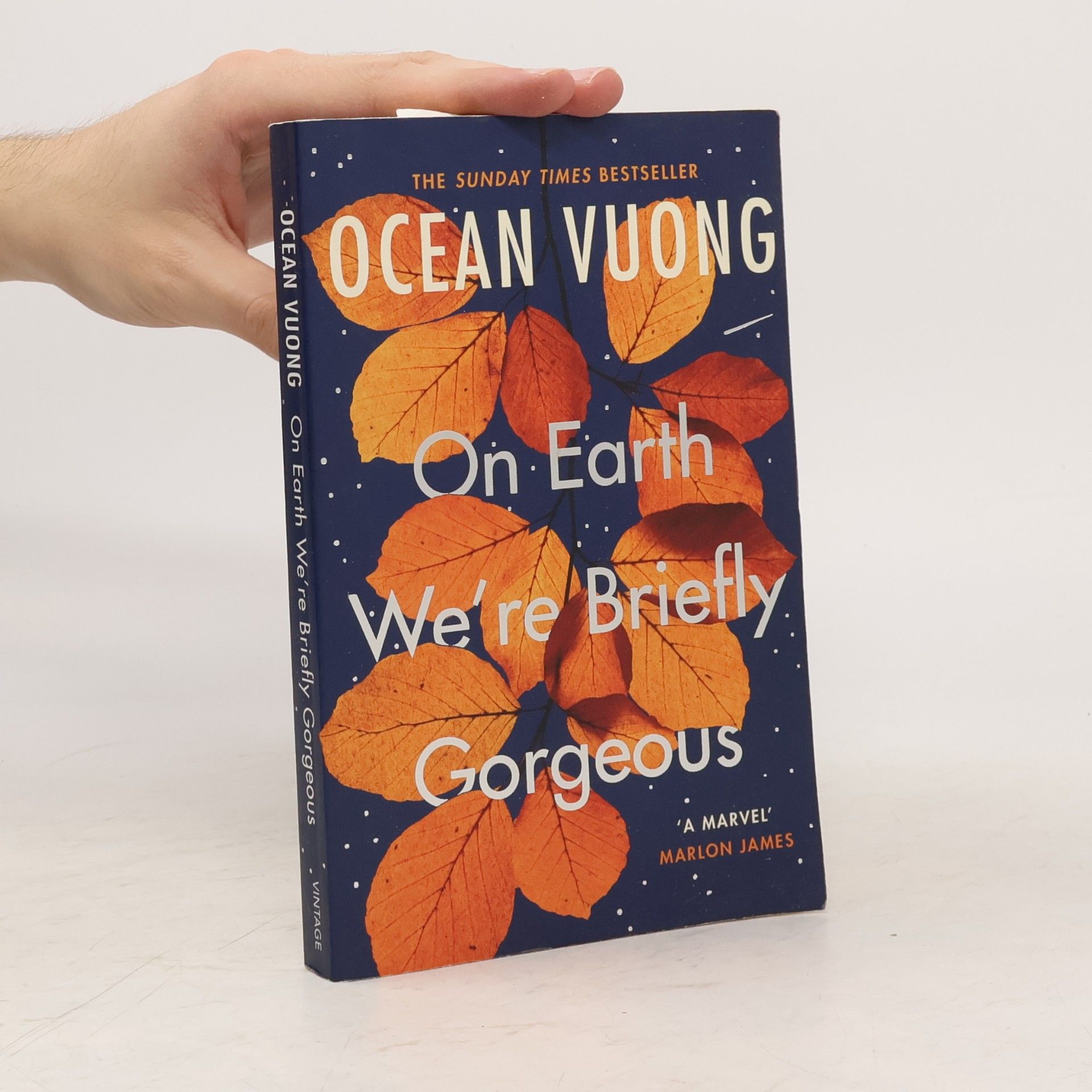Ocean Vuong On Earth We're Briefly Gorgeous
