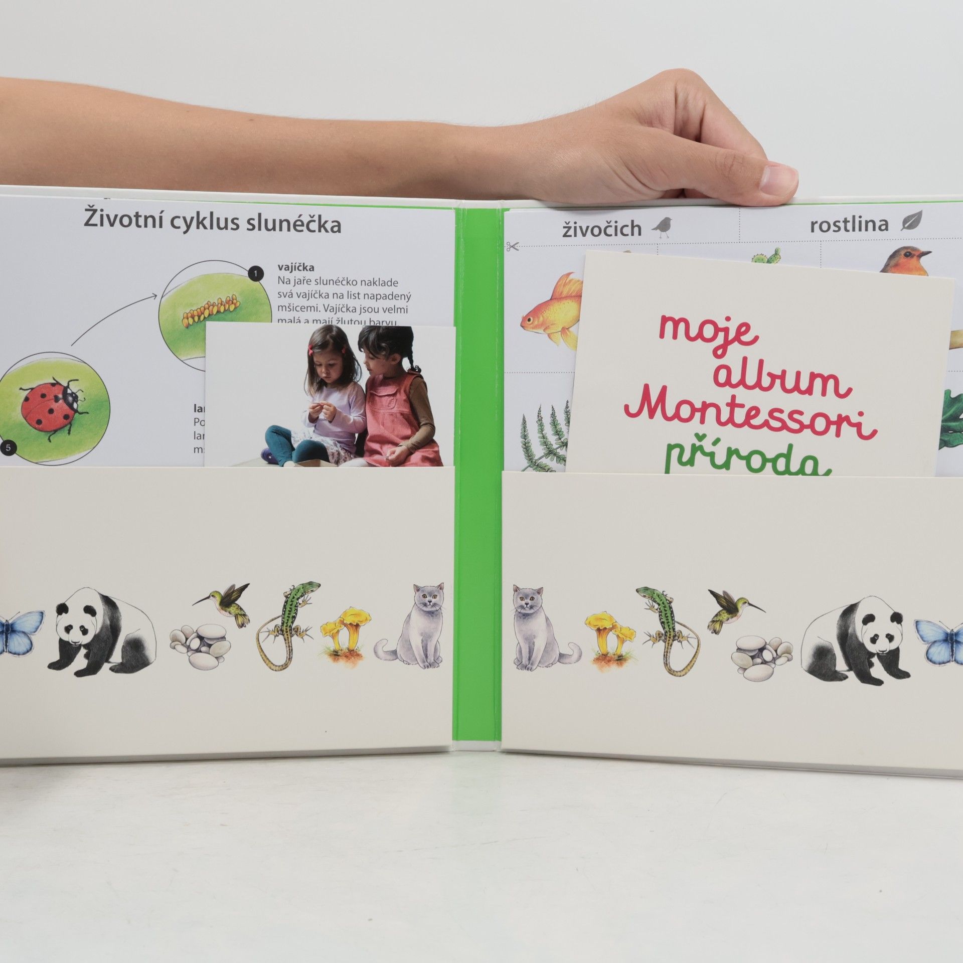 Adeline Charneau Moje album Montessori příroda