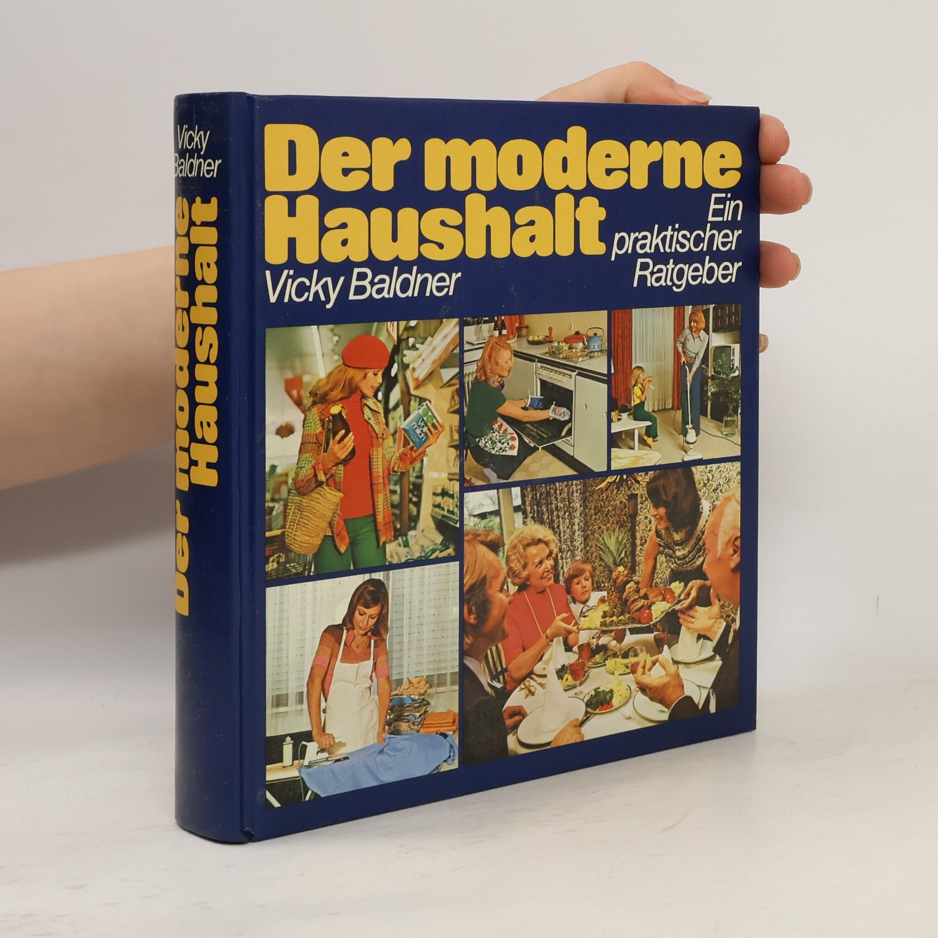 Vicky Baldner Der moderne Haushalt. Ein praktischer Ratgeber