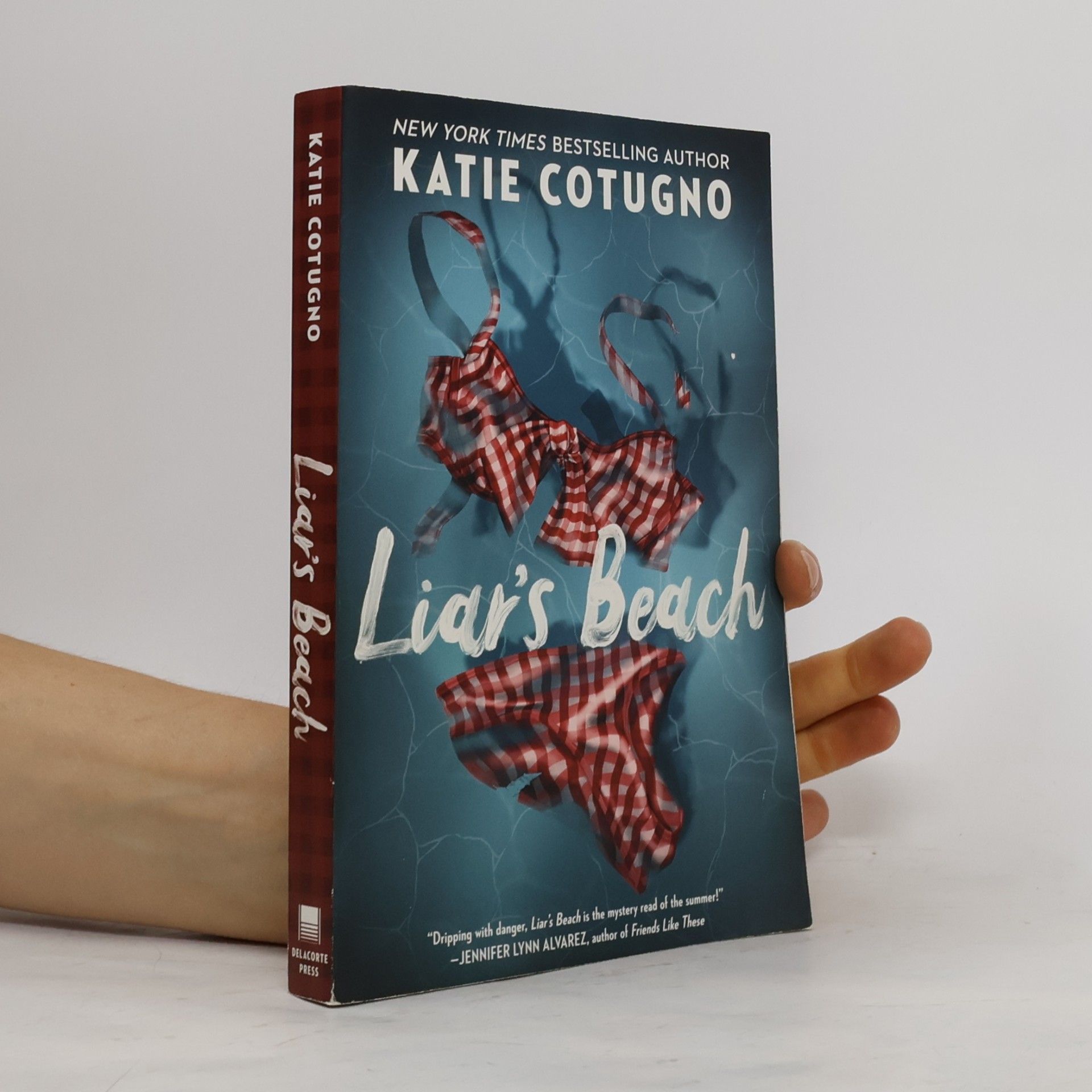 Katie Cotugno Liar's Beach