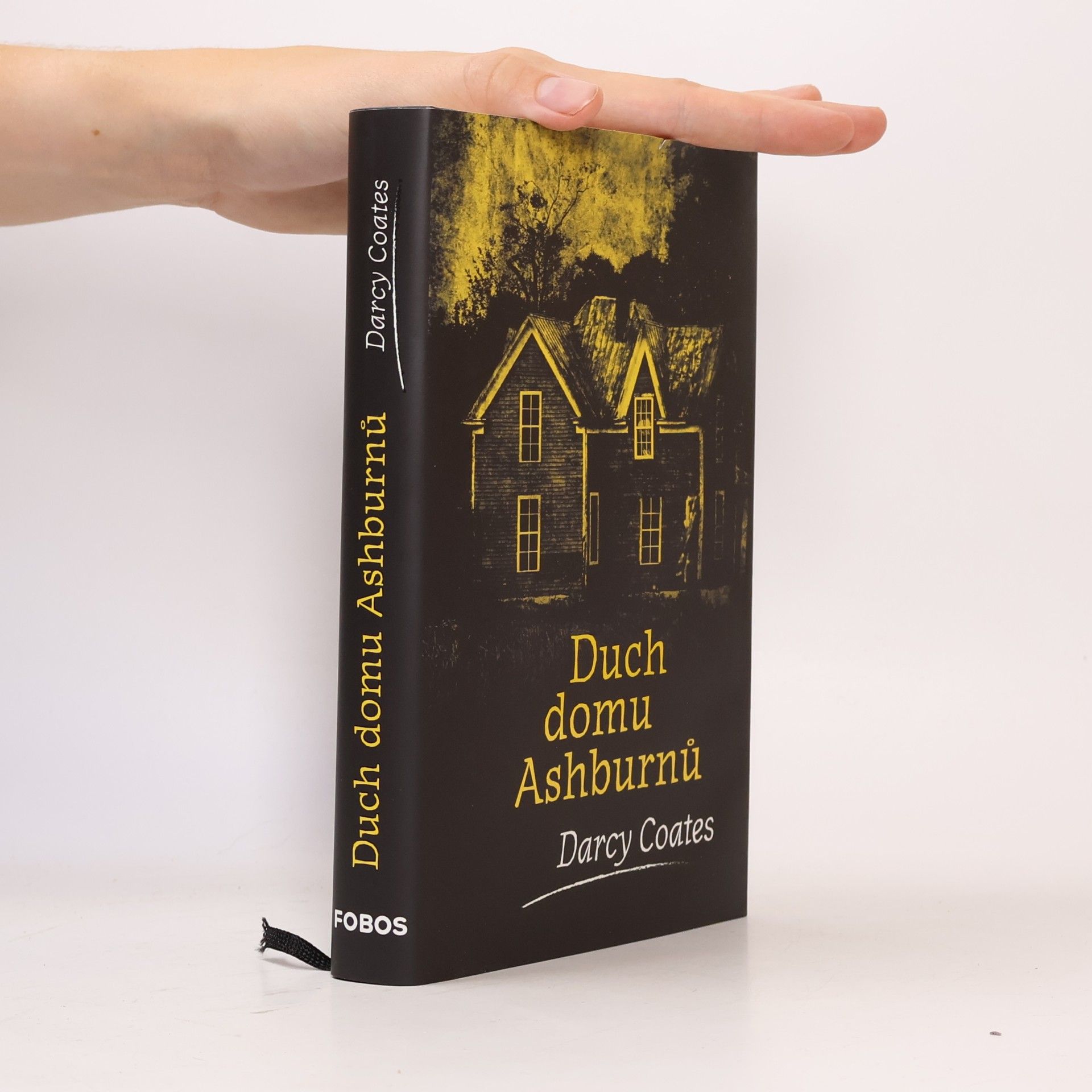 Darcy Coates Duch domu Ashburnů