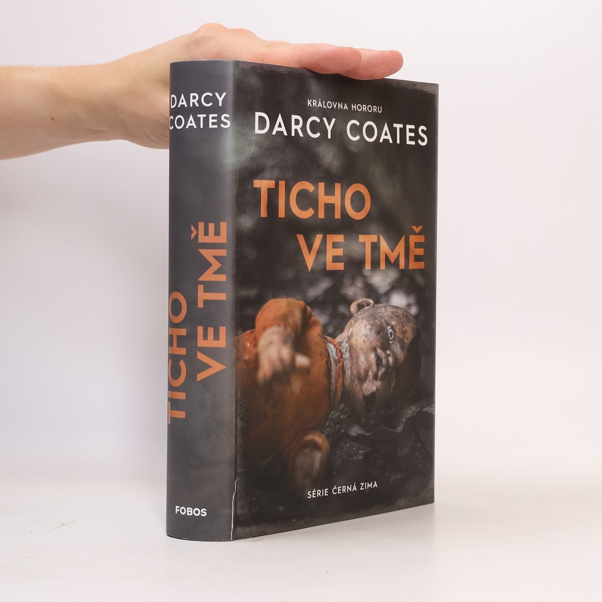 Darcy Coates Ticho ve tmě