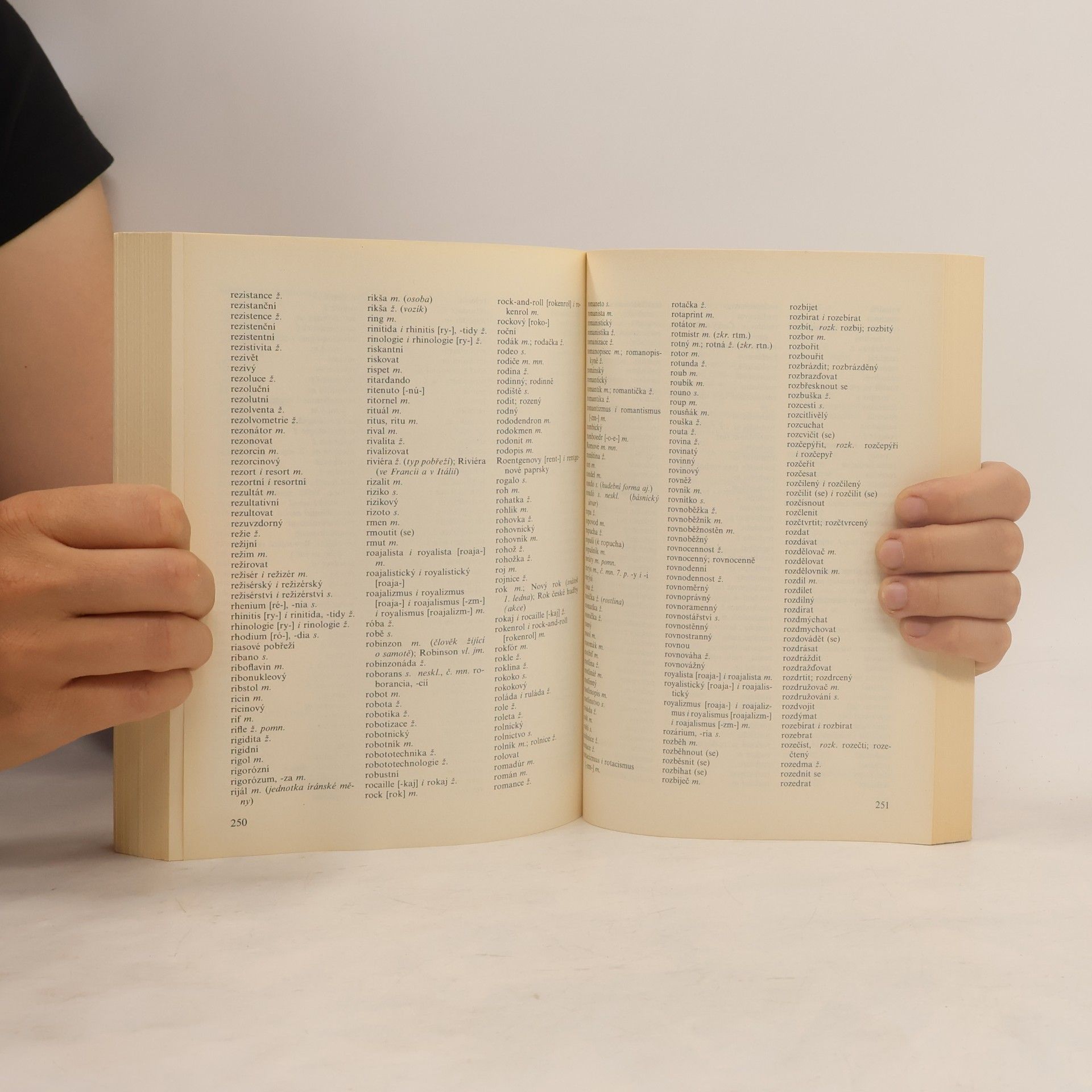 Various authors Pravidla českého pravopisu