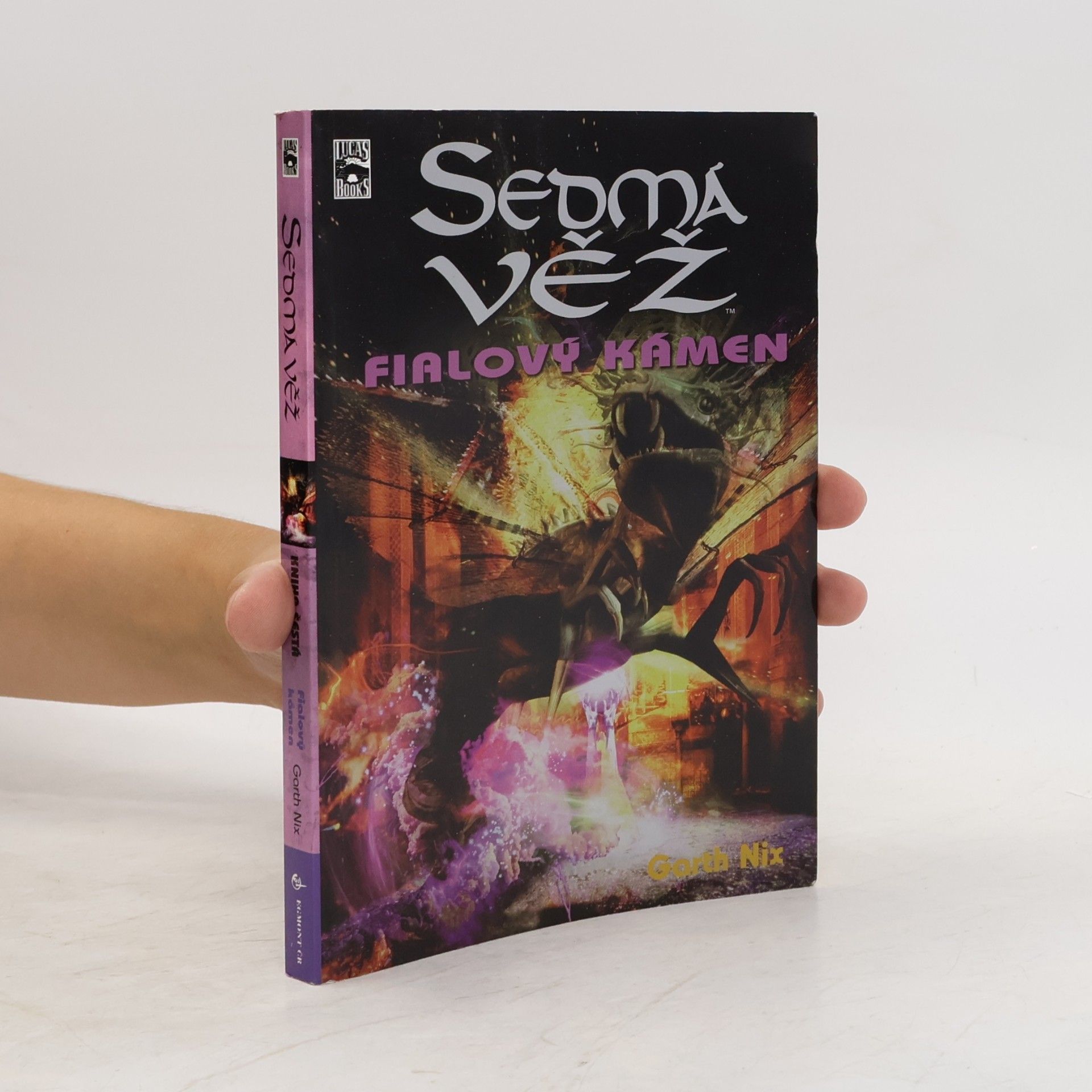 Garth Nix Fialový kámen