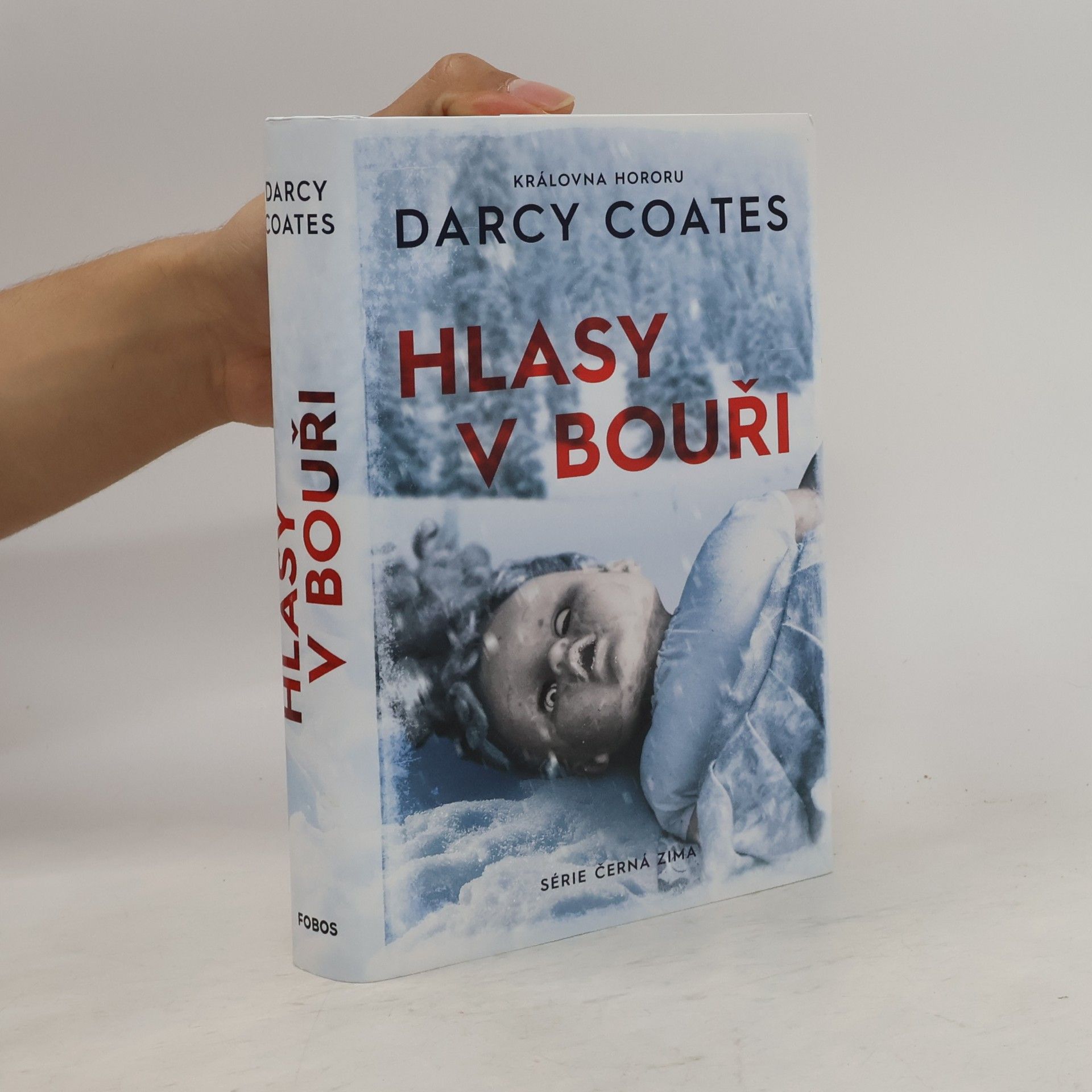 Darcy Coates Hlasy v bouři