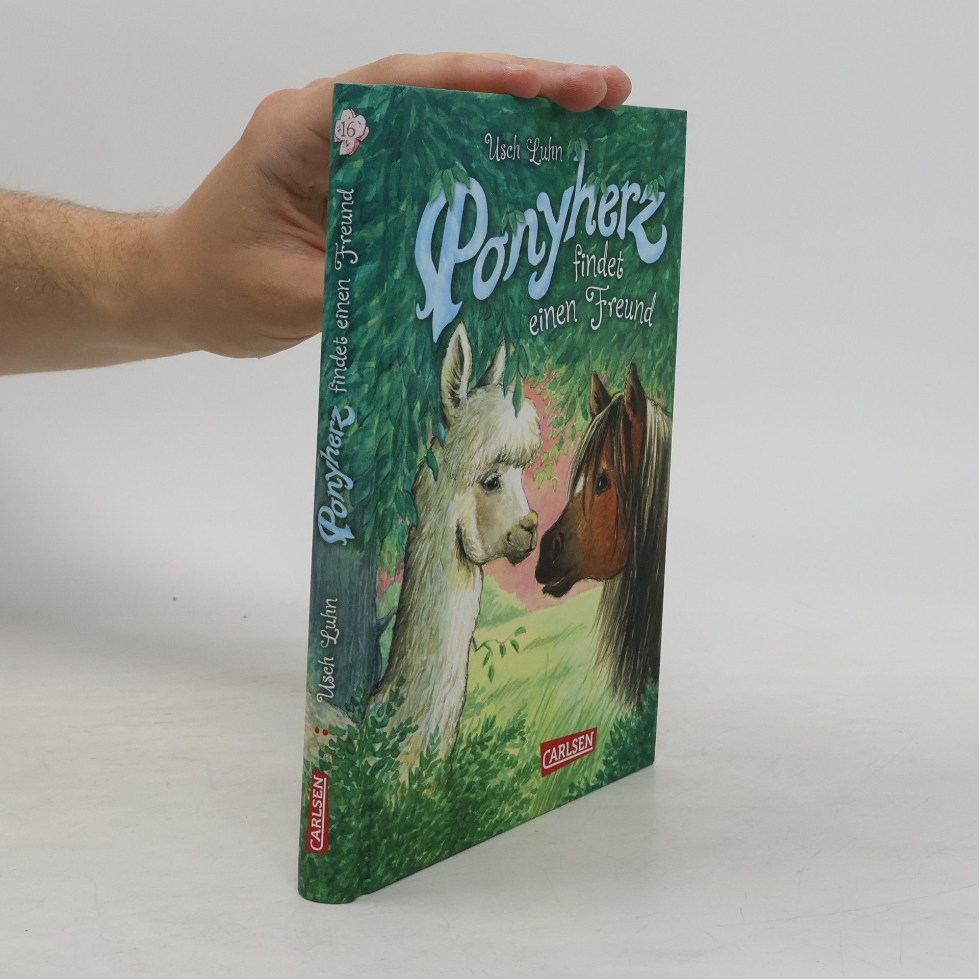 Usch Luhn Ponyherz 16: Ponyherz findet einen Freund