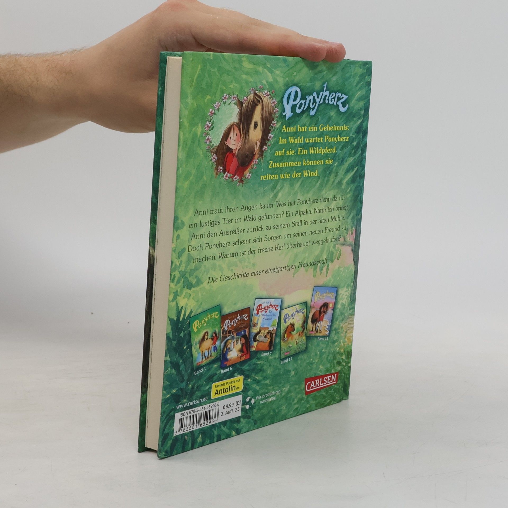 Usch Luhn Ponyherz 16: Ponyherz findet einen Freund