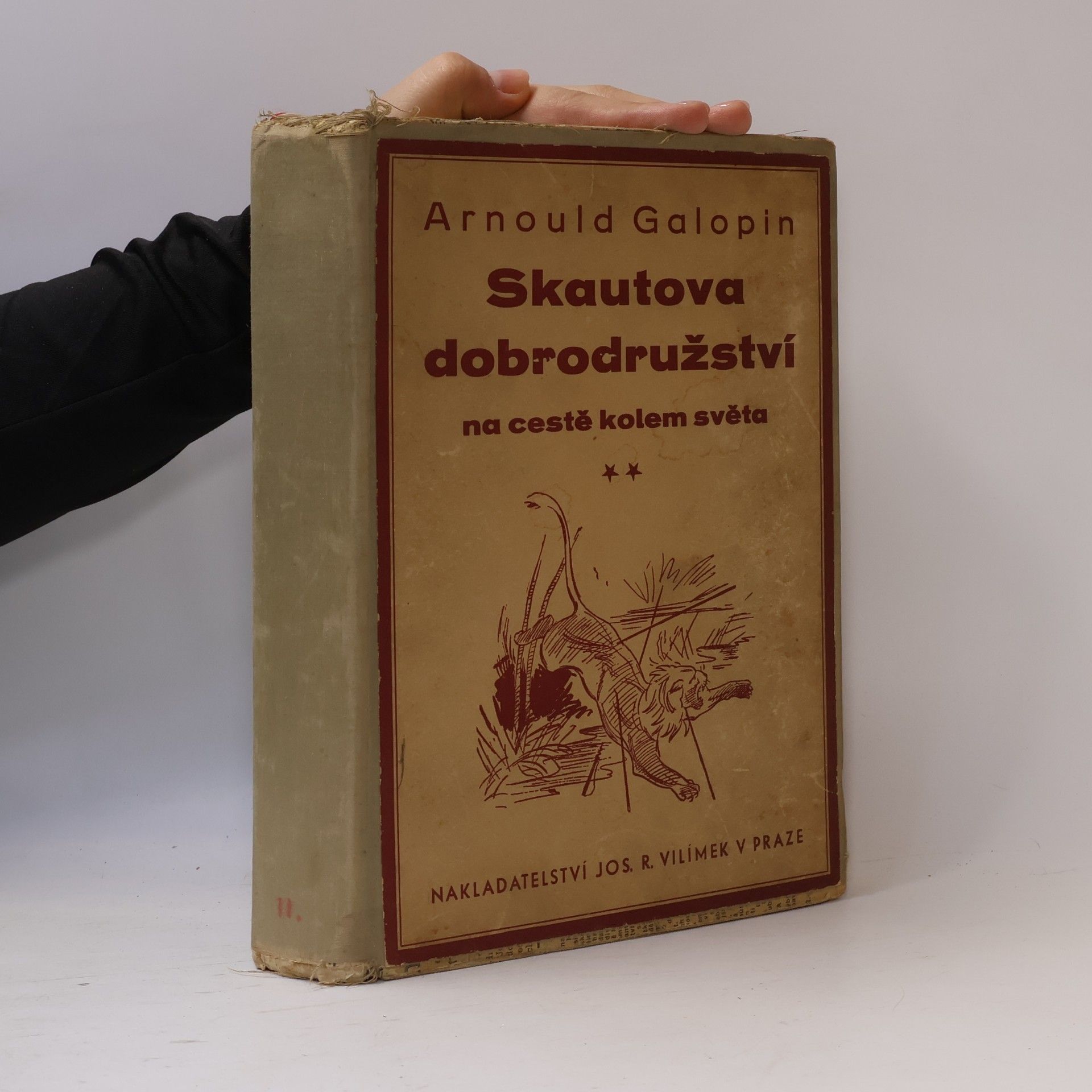 Skautova dobrodružství na cestě kolem světa II.