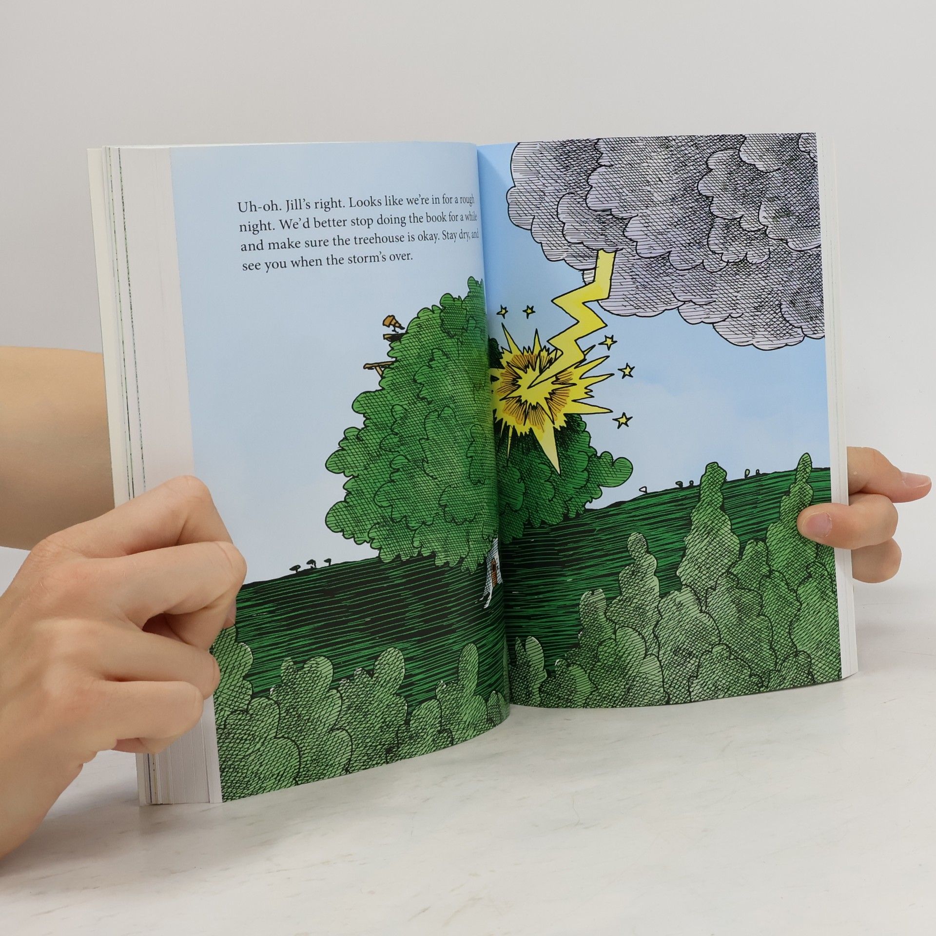Andy Griffths The 26-Storey Treehouse: Colour Edition