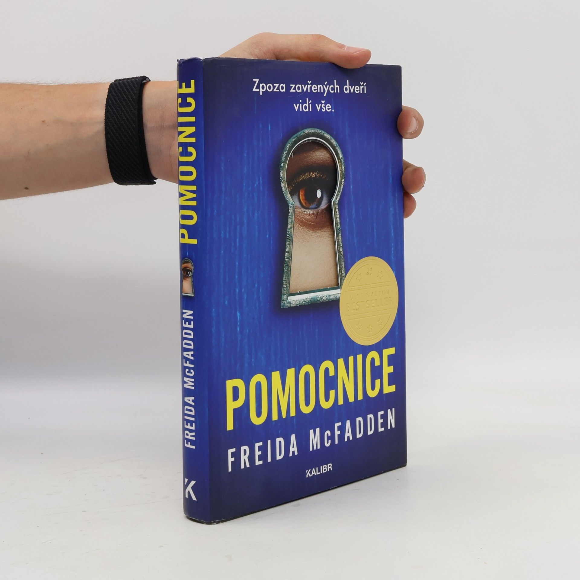Freida McFadden Pomocnice