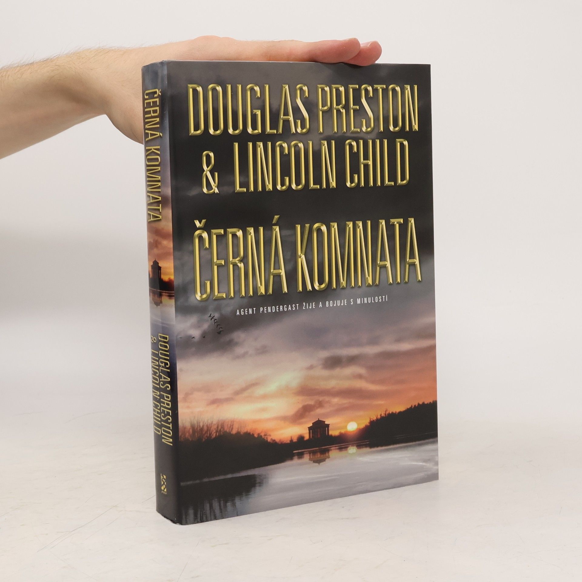 Douglas J. Preston Černá komnata