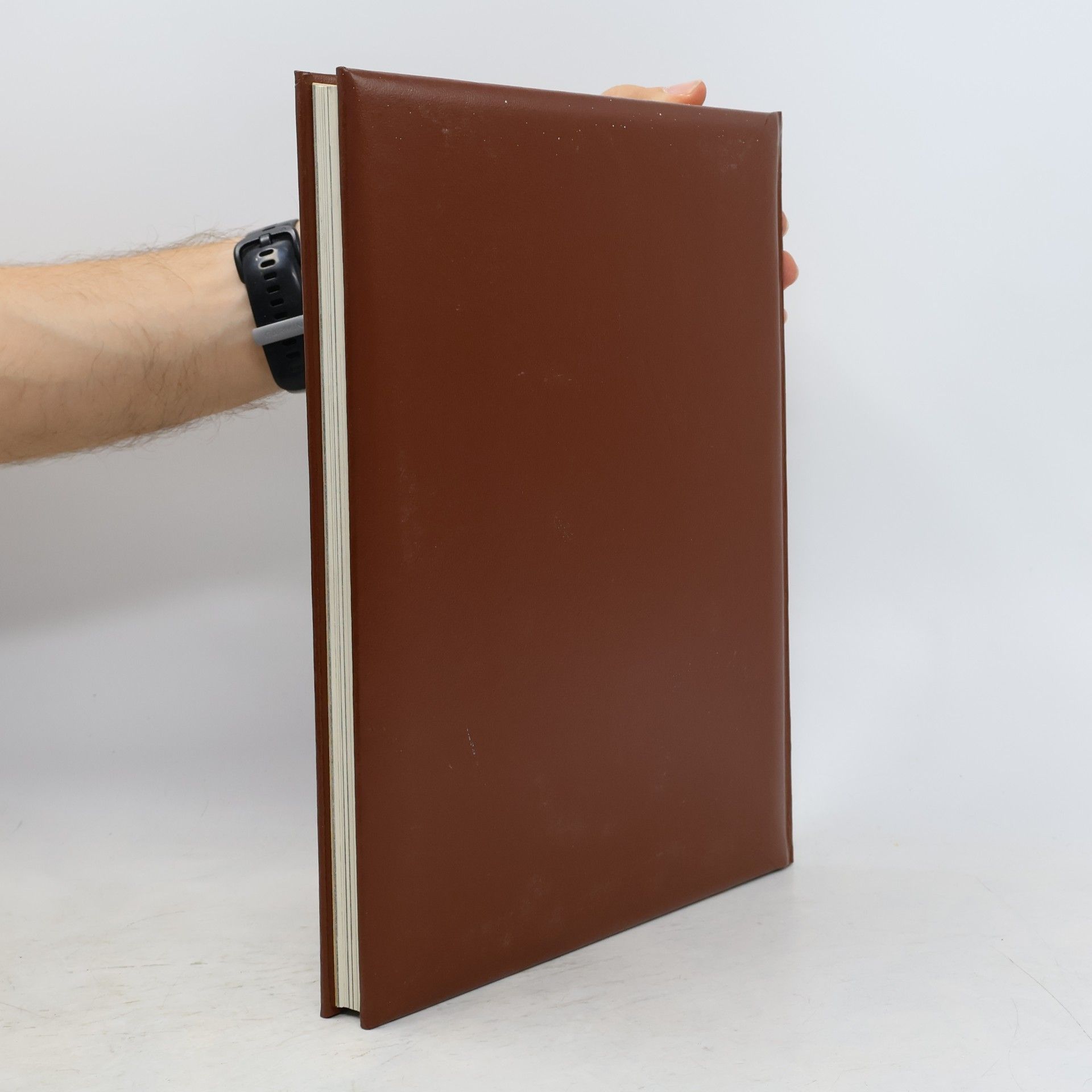 Autorenkollektiv Der wilde Westen. Die Glücksspieler
