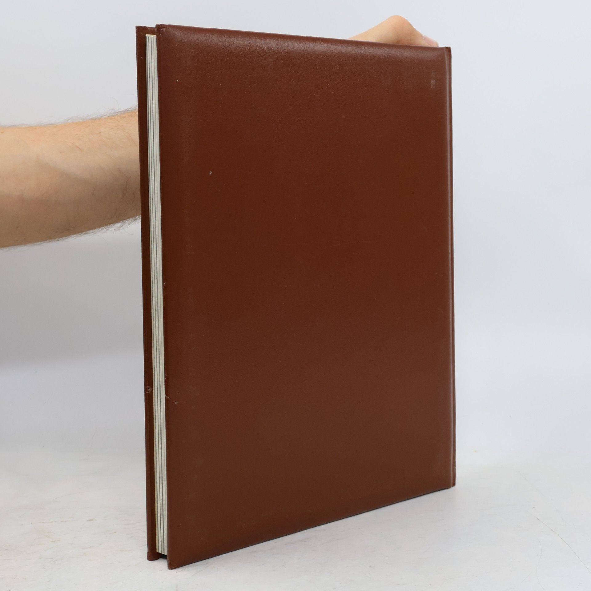 Autores varios Der wilde Westen. Die Holzfäller