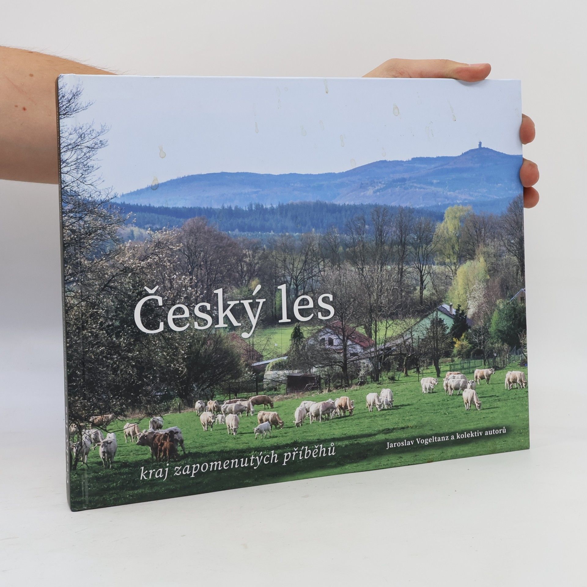 Český les : kraj zapomenutých příběhů