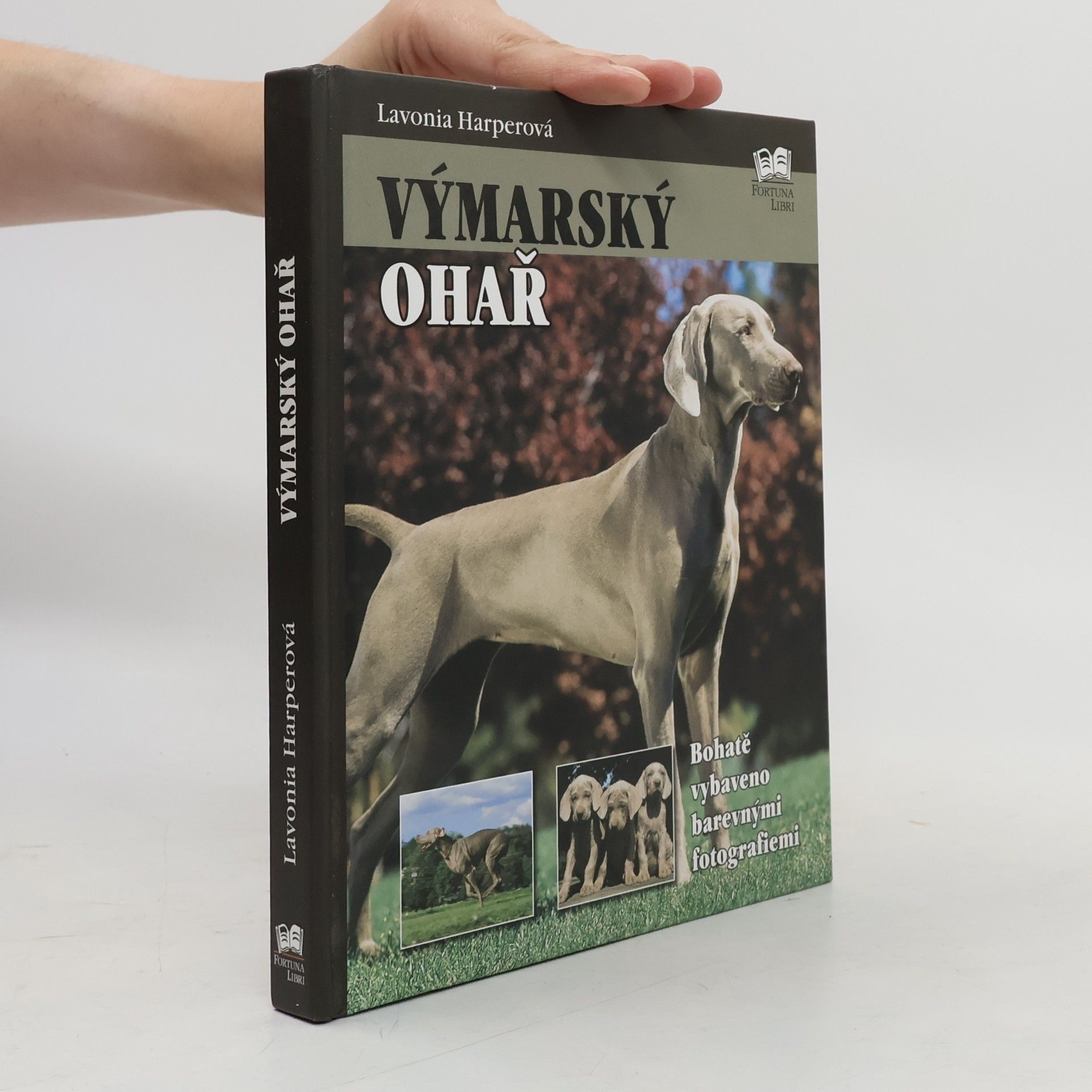 Lavonia Harper Výmarský ohař