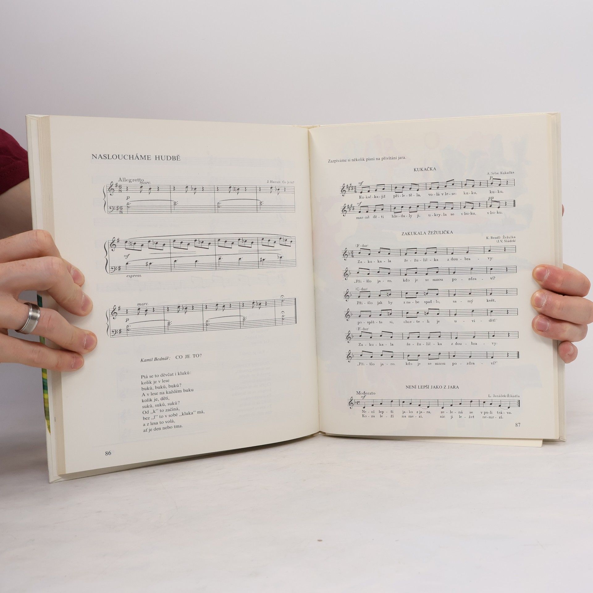 Neoralová Jaroslava Mladí muzikanti II