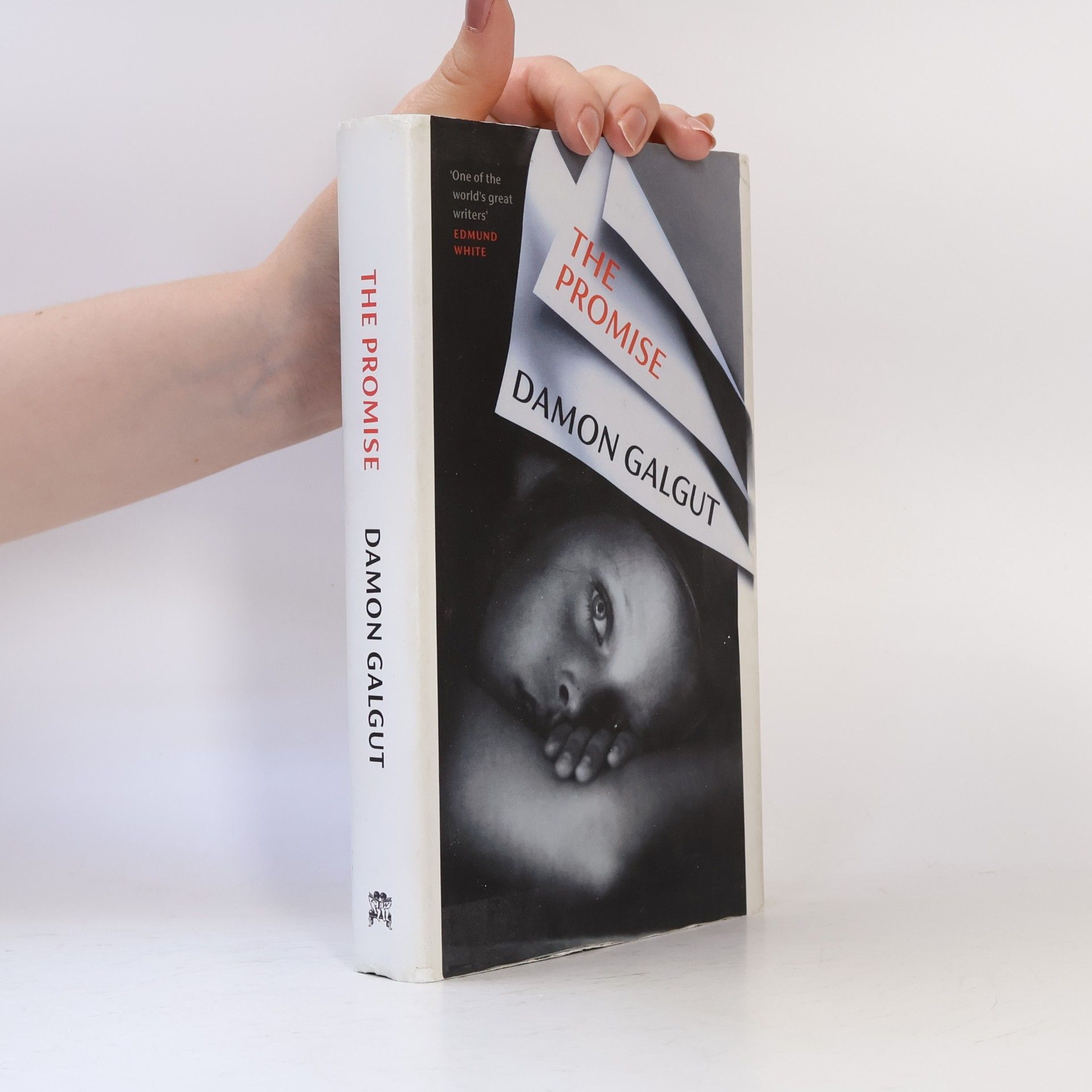 Damon Galgut The promise