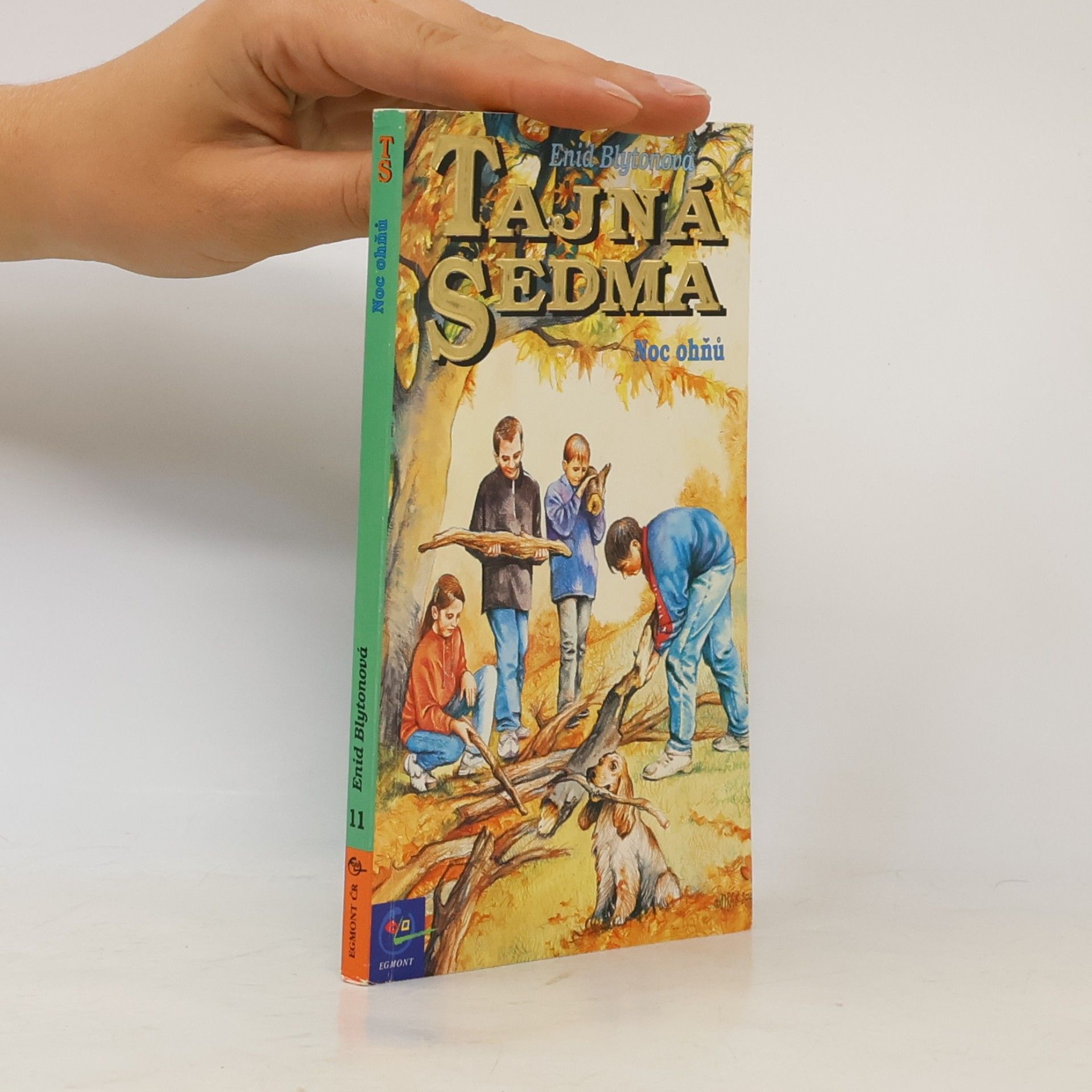 Enid Blyton Noc ohňů