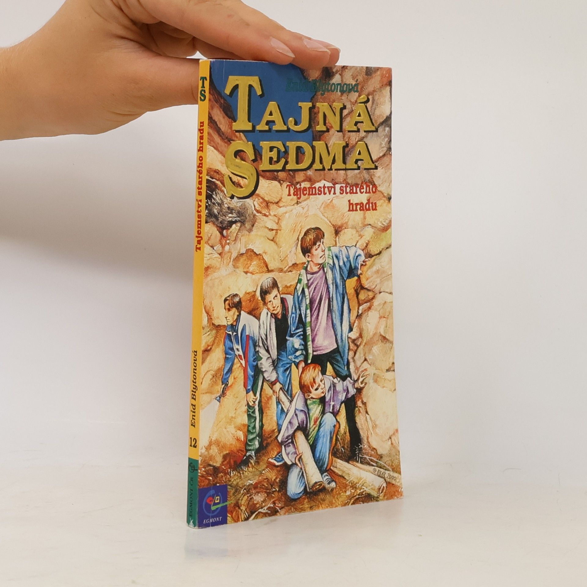 Tajná sedma. Tajemství starého hradu