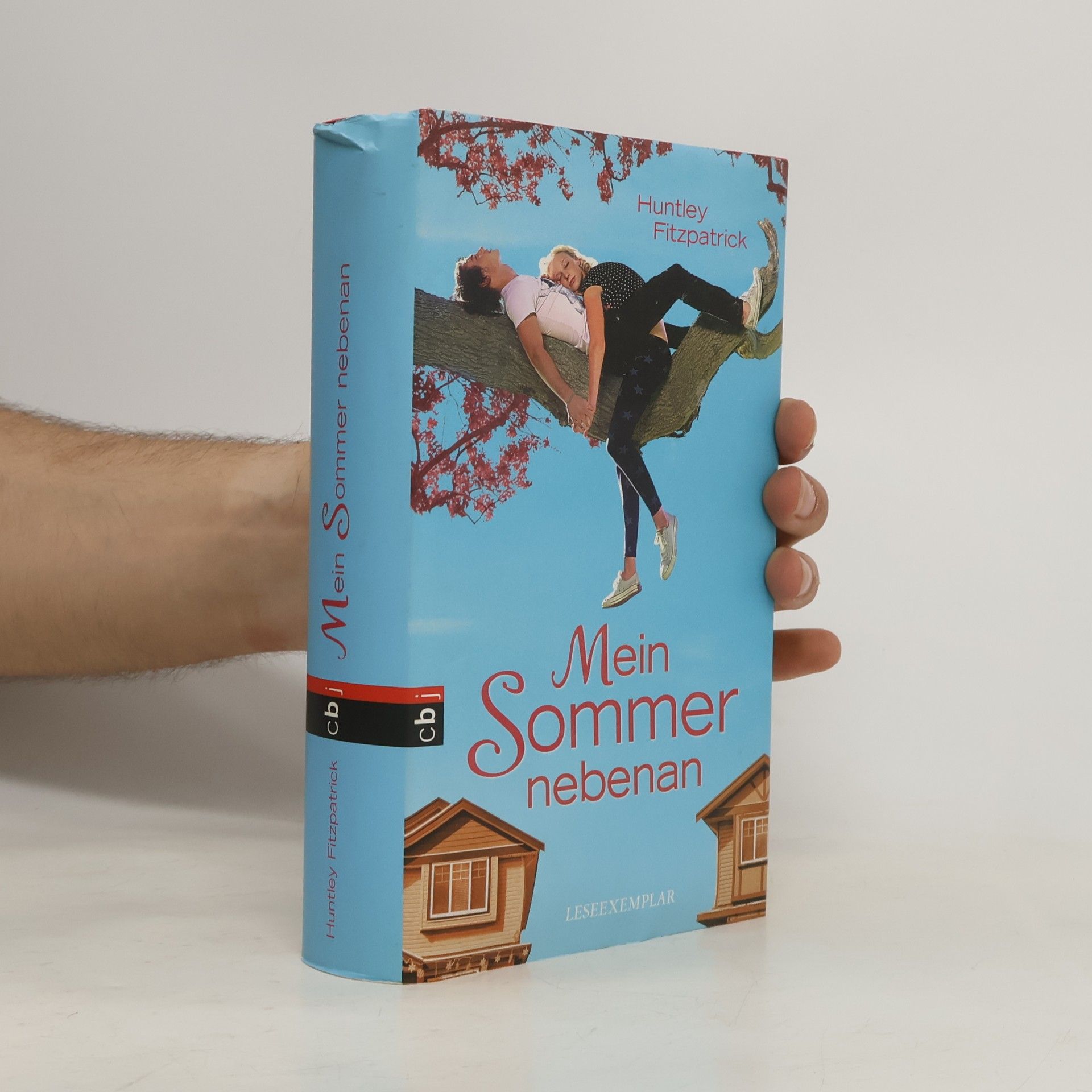Huntley Fitzpatrick Mein Sommer nebenan