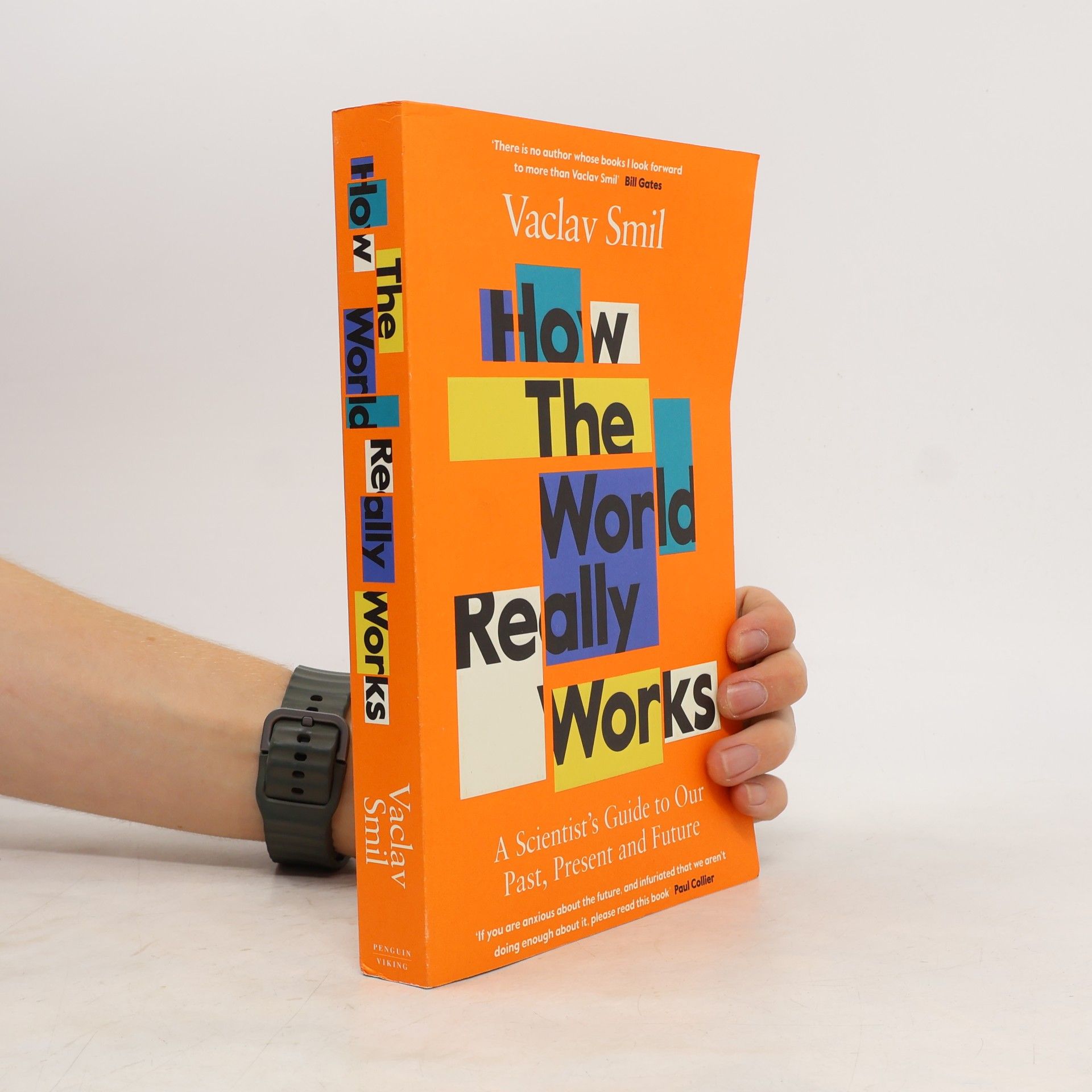 Václav Smil How the world really works