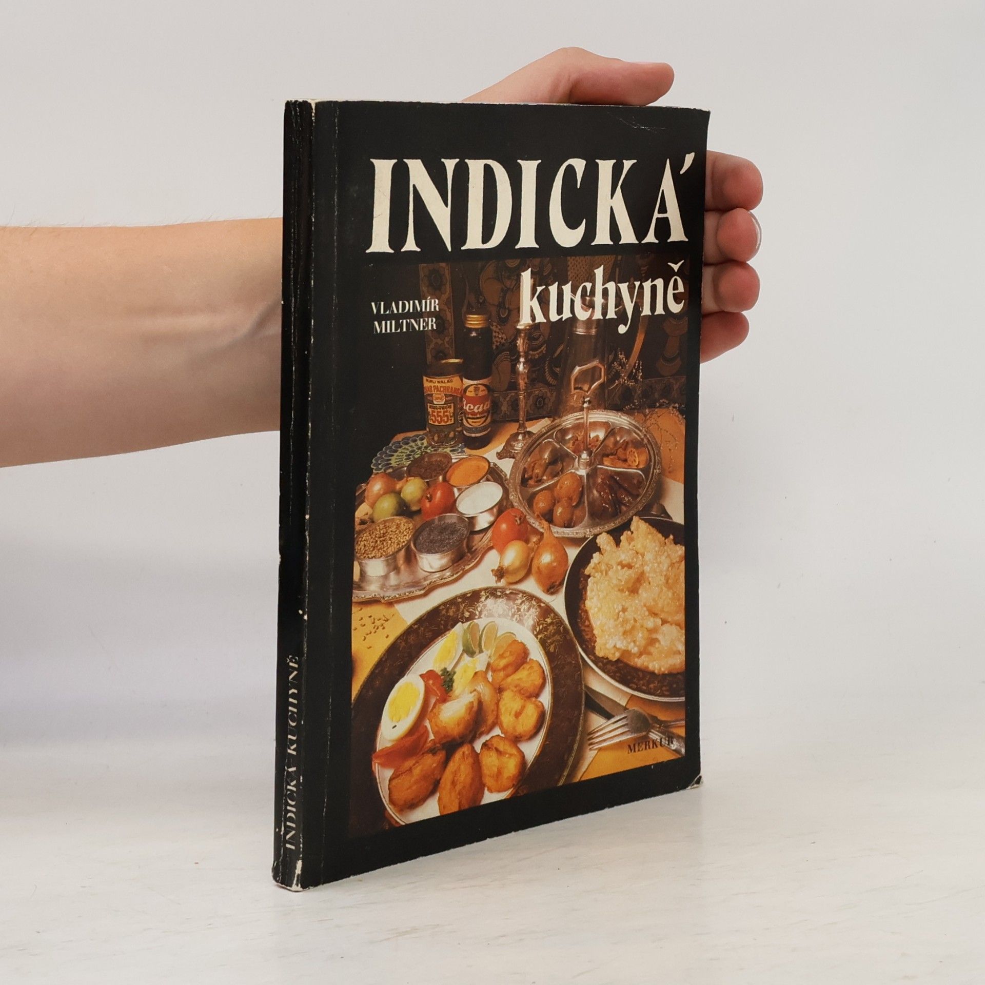 Vladimír Miltner Indická kuchyně