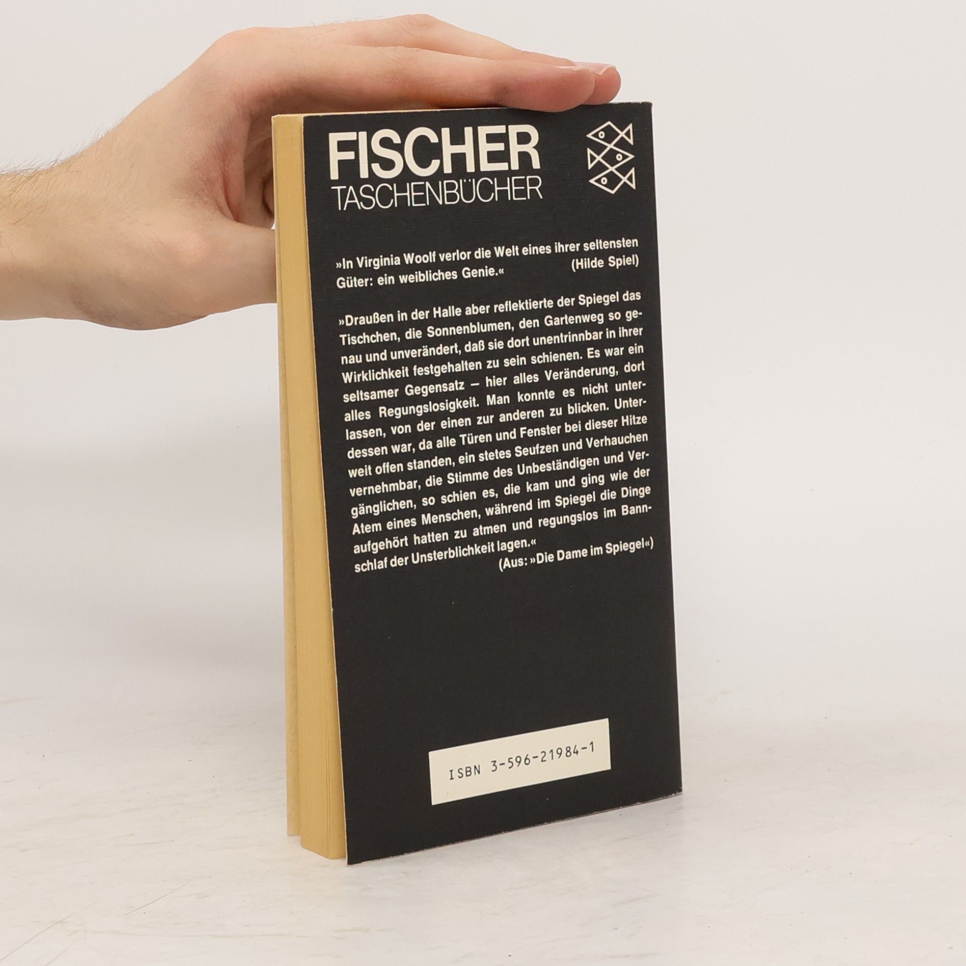 Virginia Woolf Die Dame im Spiegel und andere Erzählungen