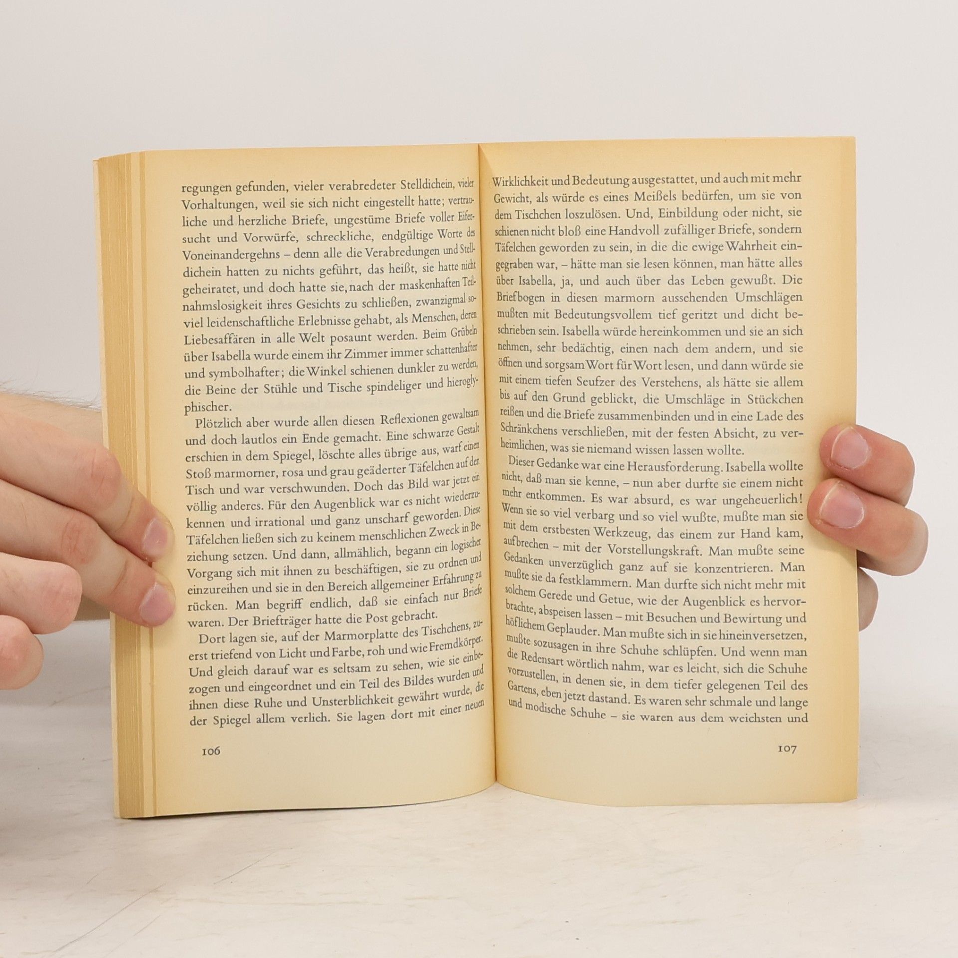 Virginia Woolf Die Dame im Spiegel und andere Erzählungen