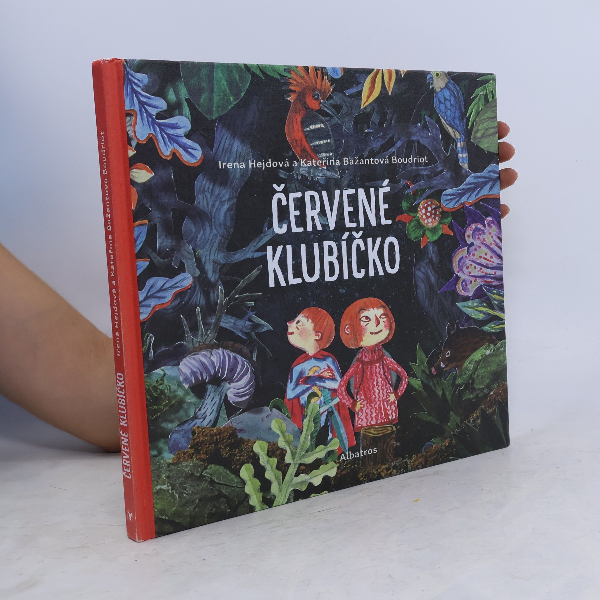 Irena Hejdová Červené klubíčko