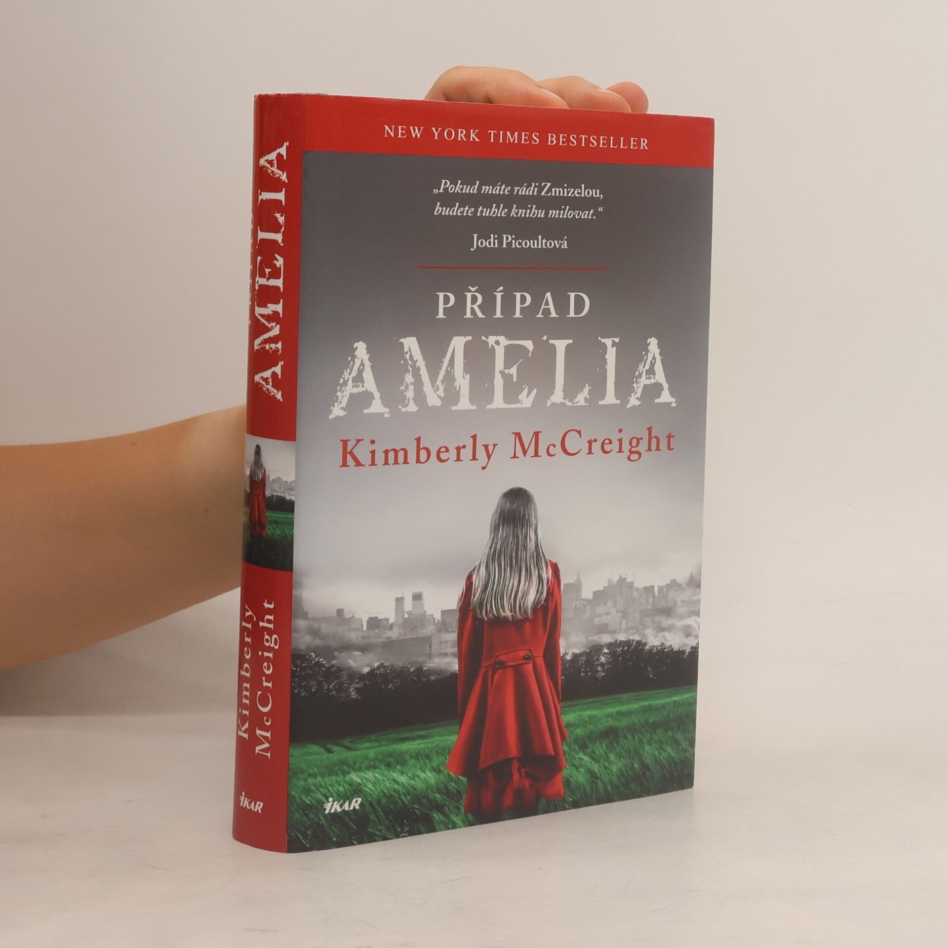 Kimberly McCreight Případ Amelia