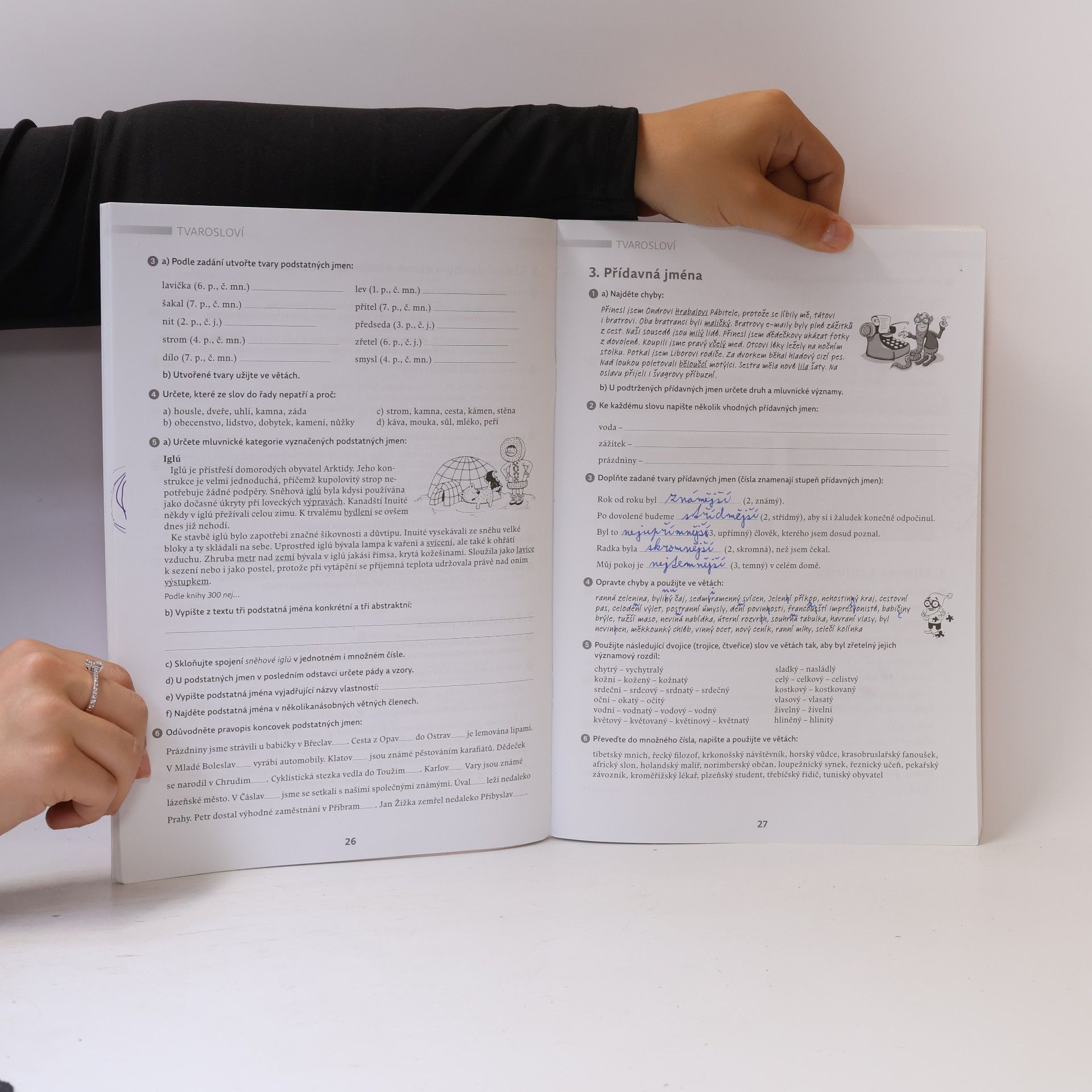 Zdeňka Krausová Český jazyk 9 : pracovní sešit pro základní školy a víceletá gymnázia