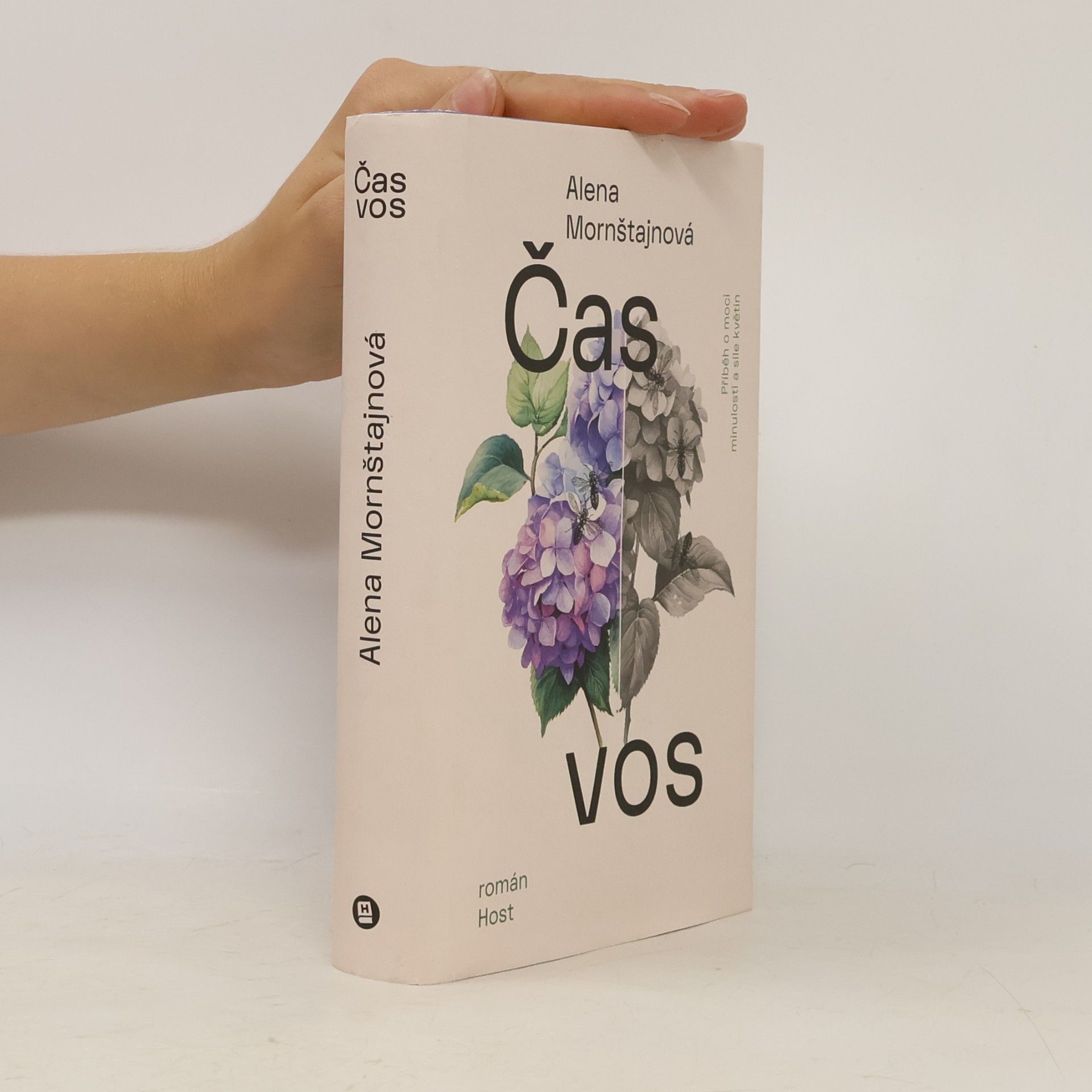 Alena Mornštajnová Čas vos