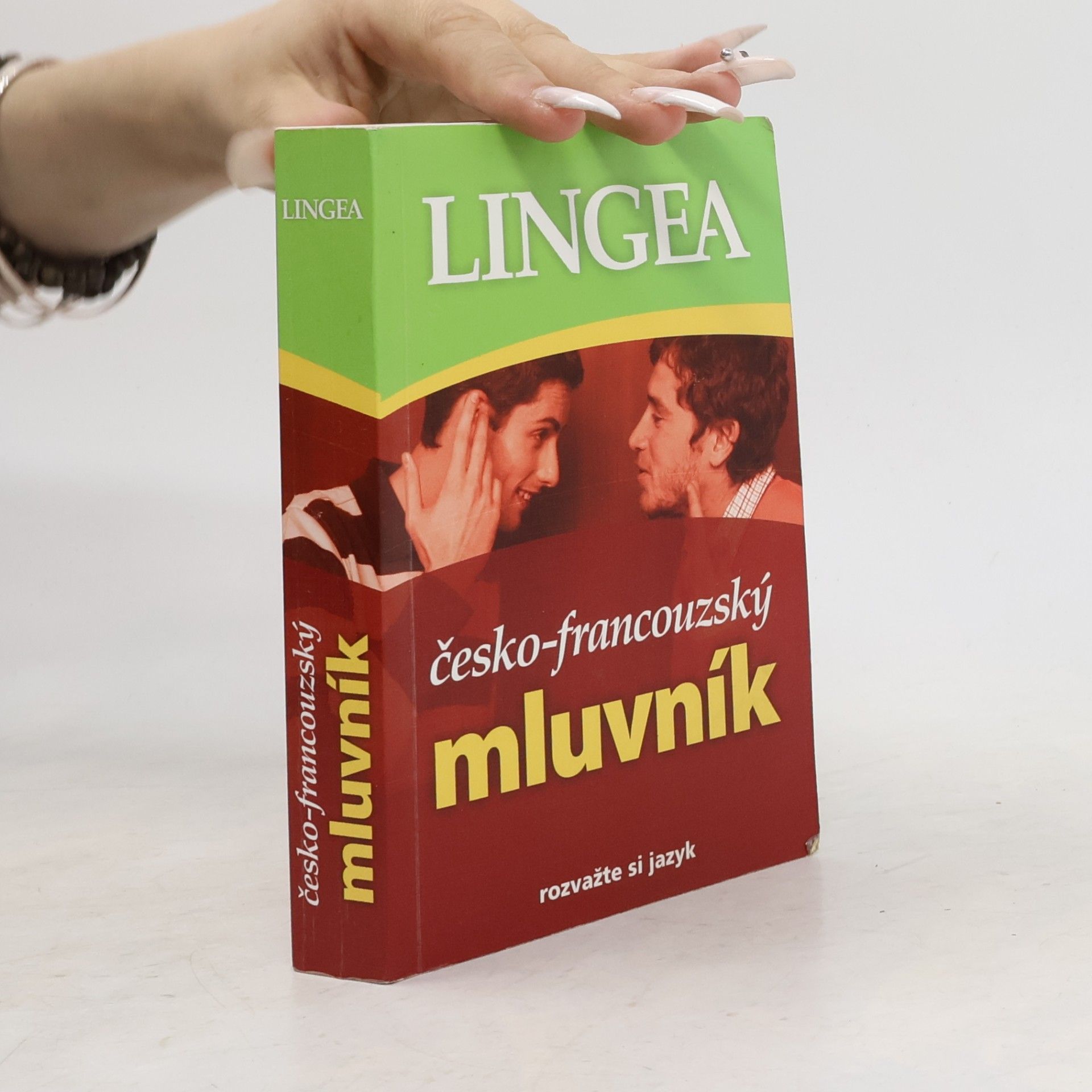 Autorenkollektiv Česko-francouzský mluvník