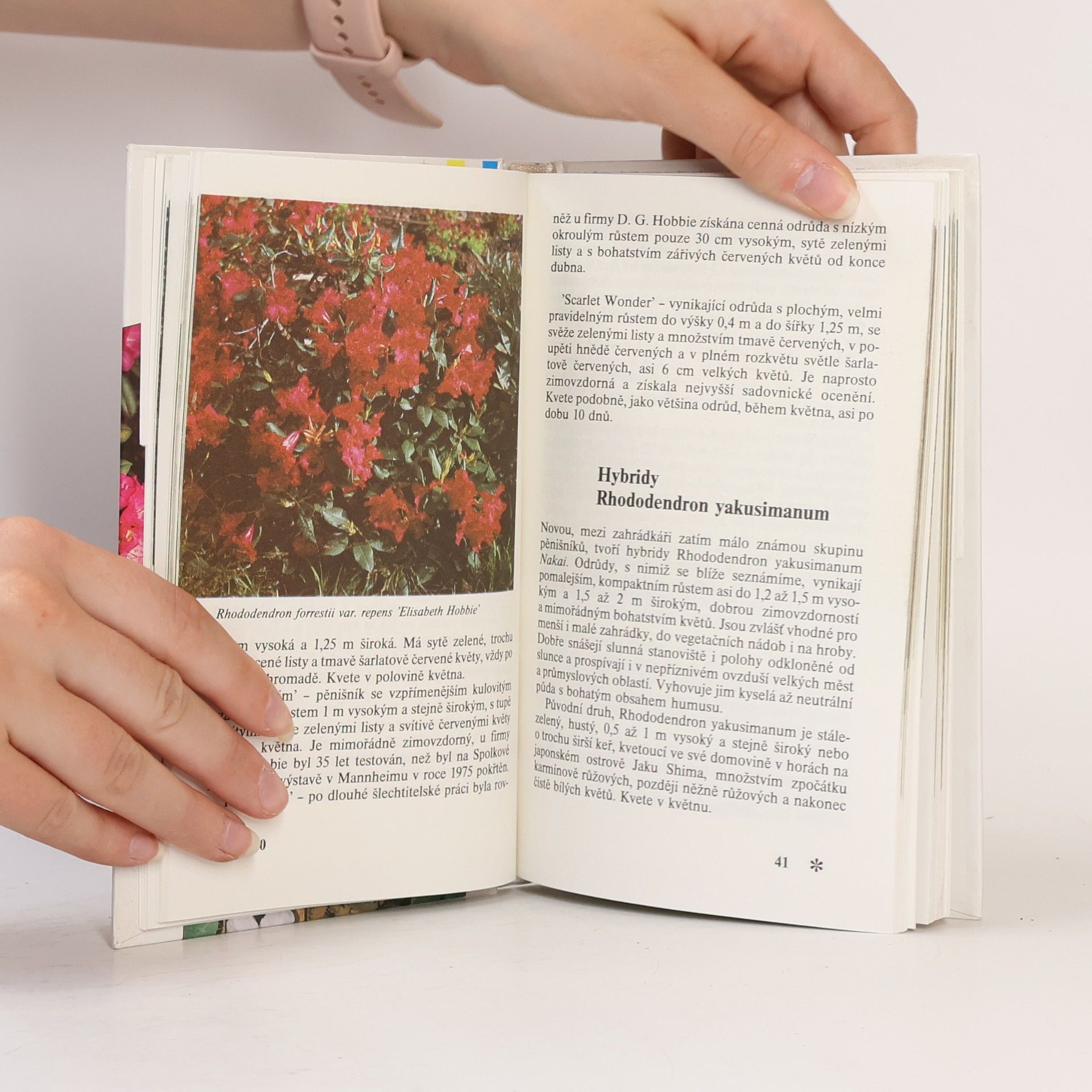 Čestmír Böhm Rododendrony a další vřesovcovité rostliny