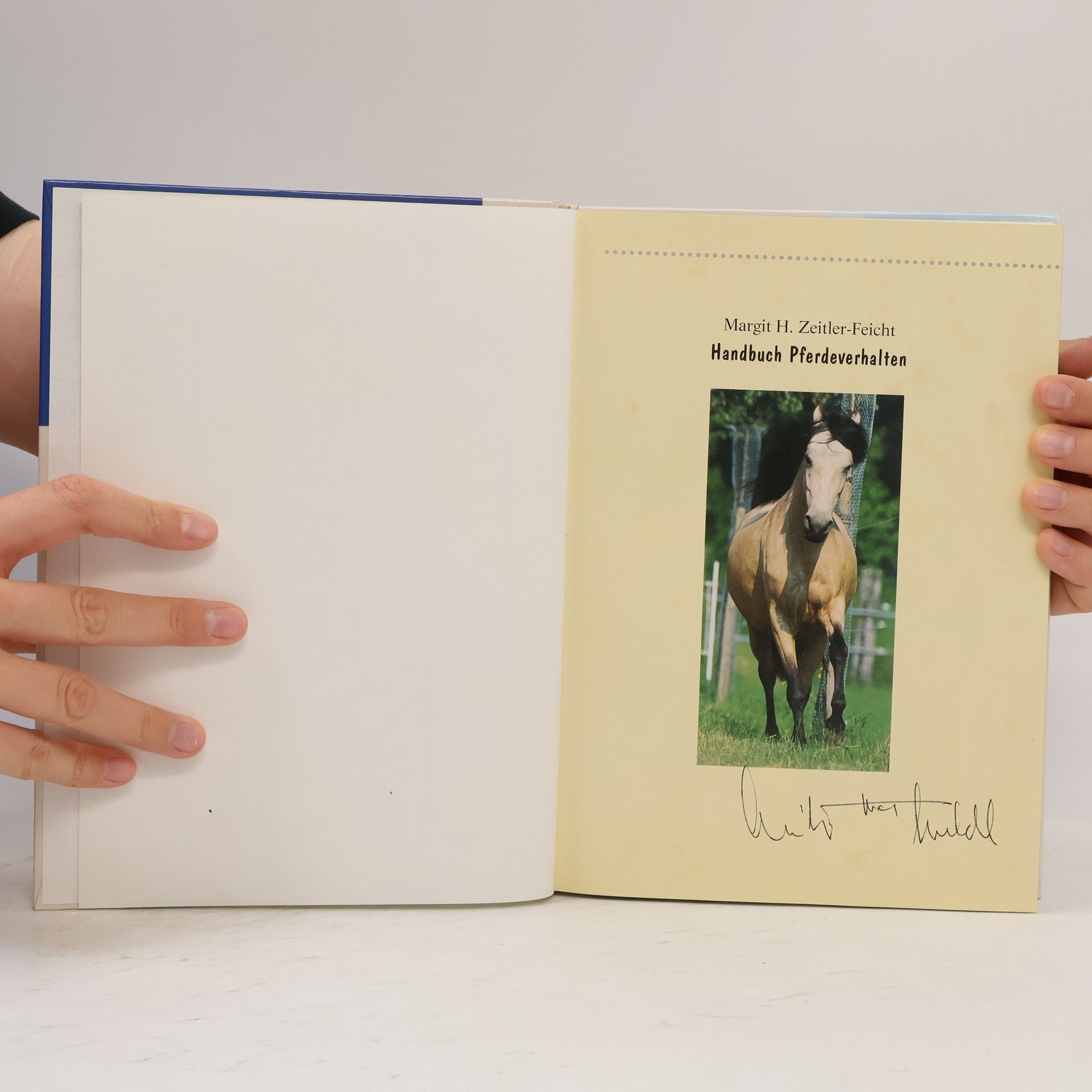 Margit H. Zeitler Feicht Handbuch Pferdeverhalten