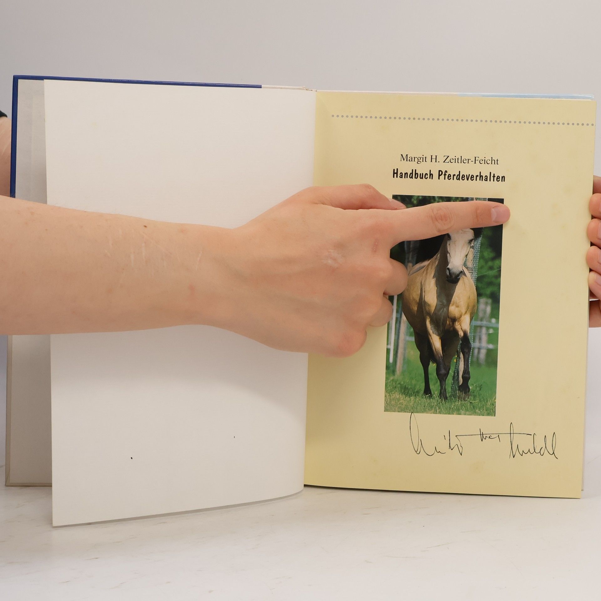 Margit H. Zeitler Feicht Handbuch Pferdeverhalten