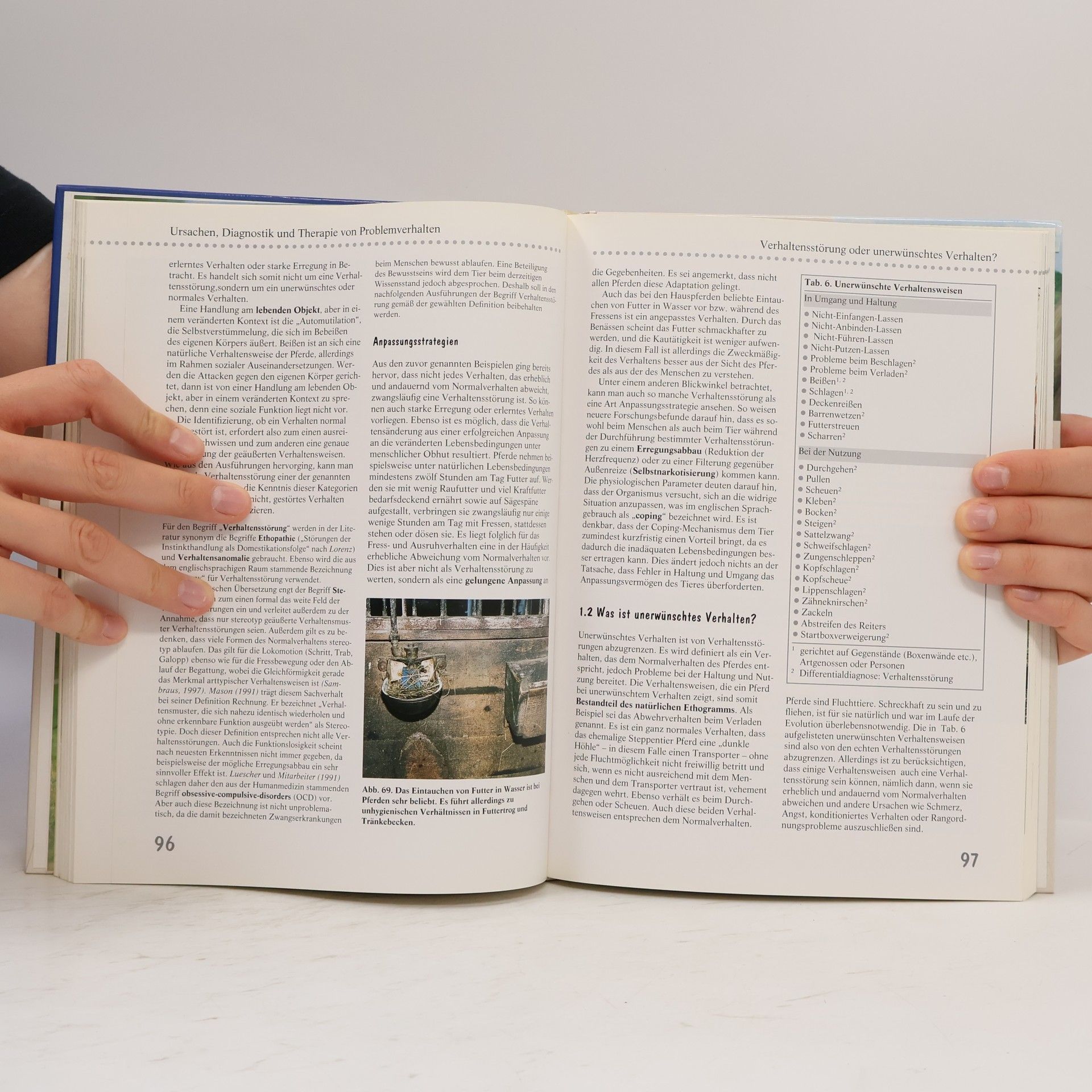Margit H. Zeitler Feicht Handbuch Pferdeverhalten