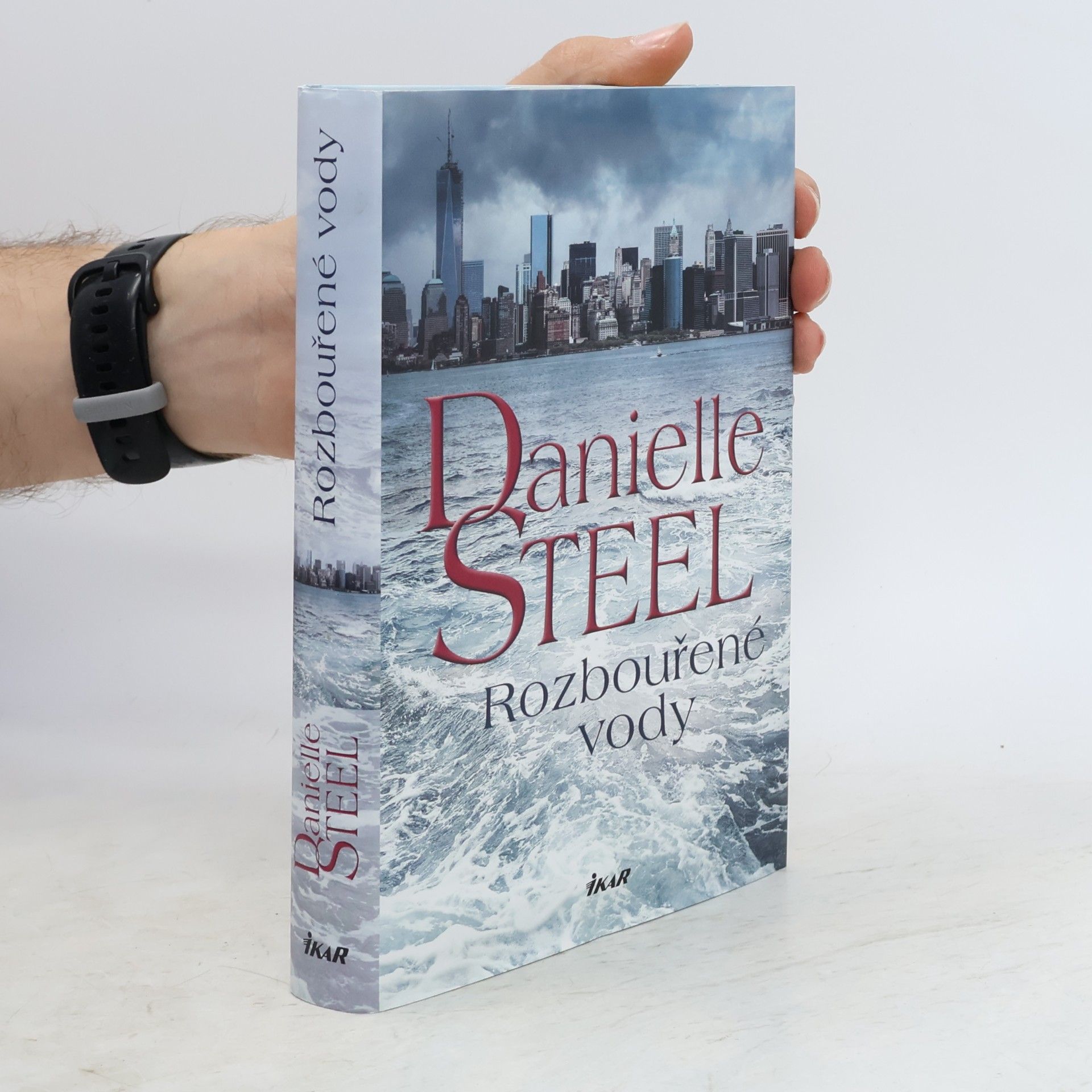 Danielle Steelová Rozbouřené vody