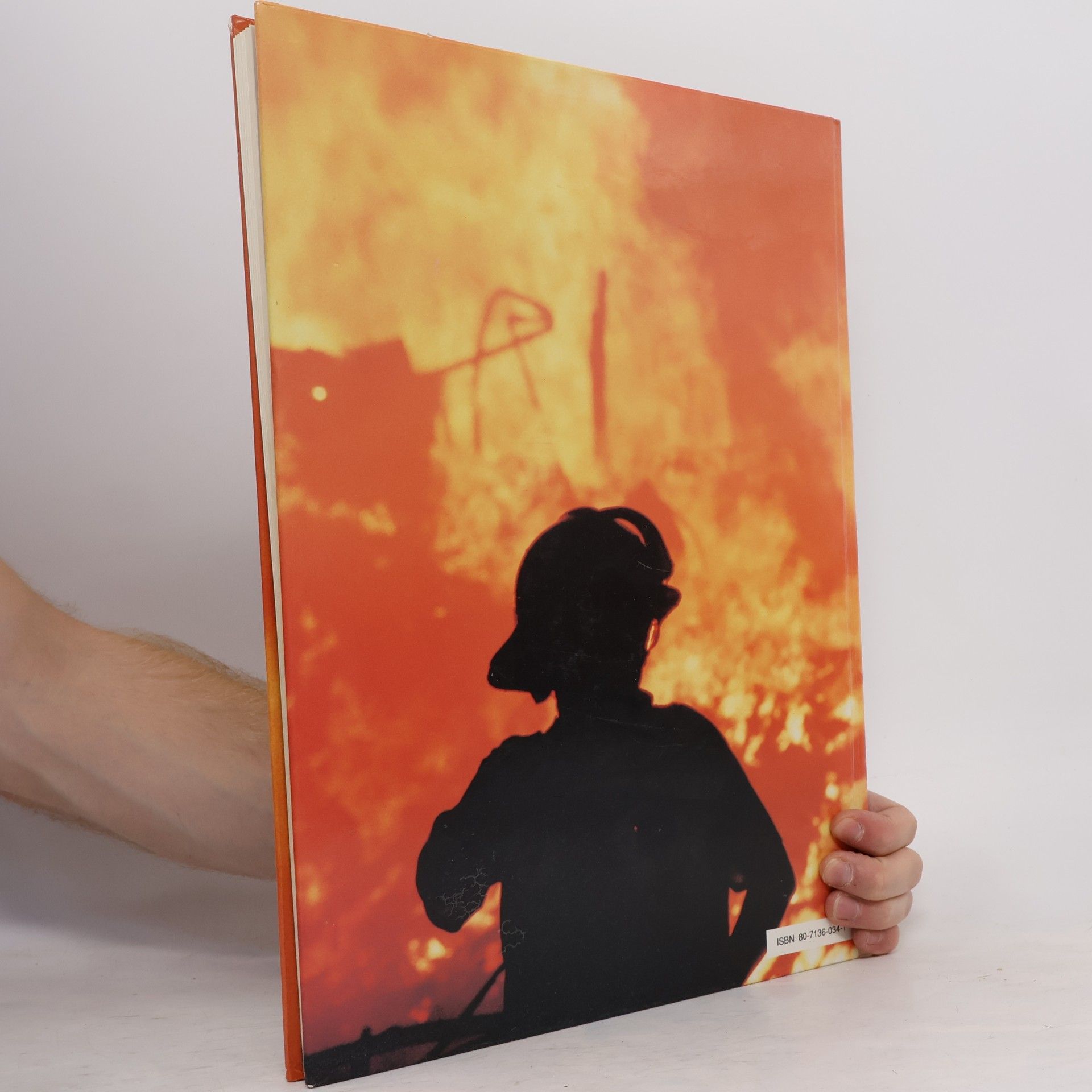 Margot Keam Cleary Velké katastrofy 20. století