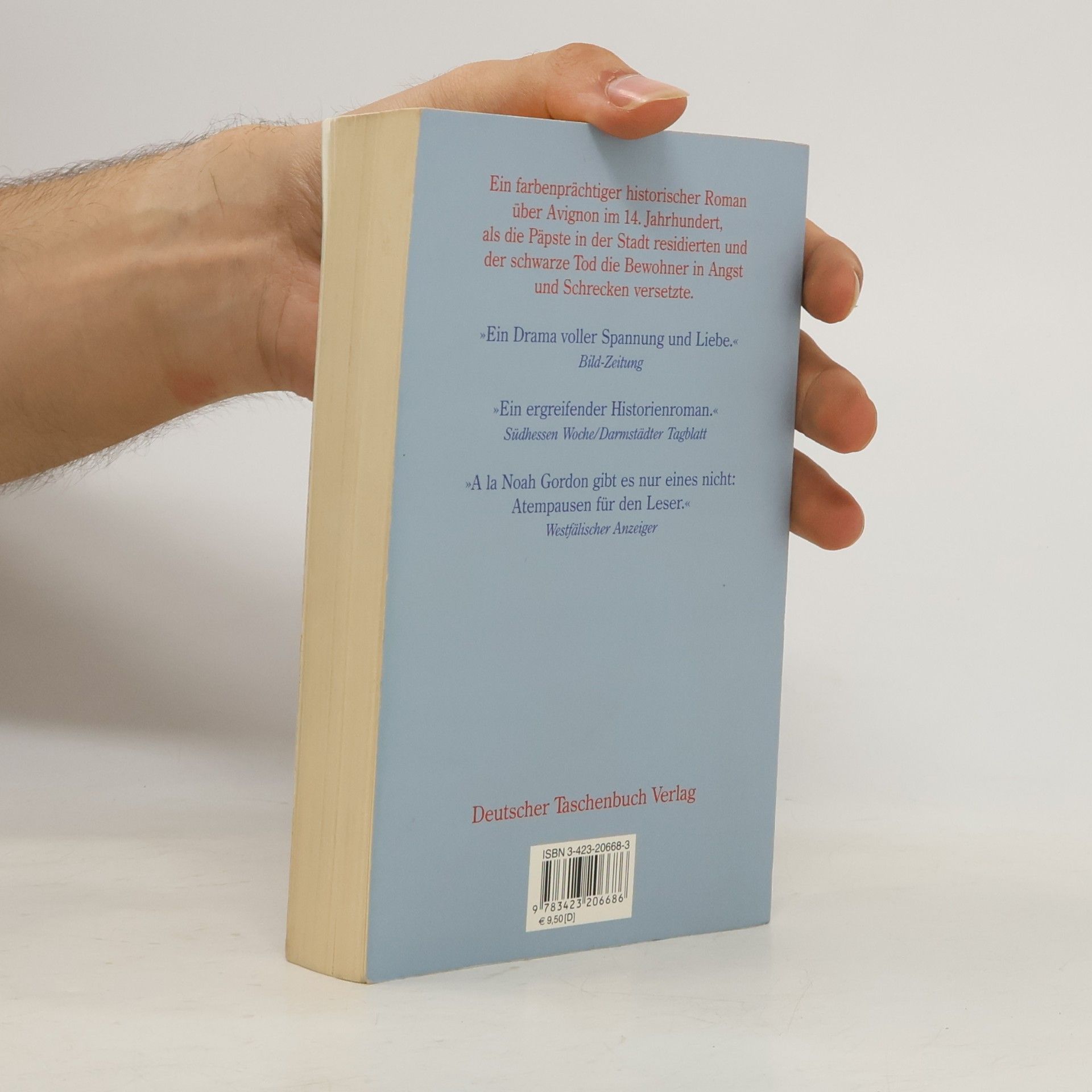 Marianne Calmann Die Schöne von Avignon
