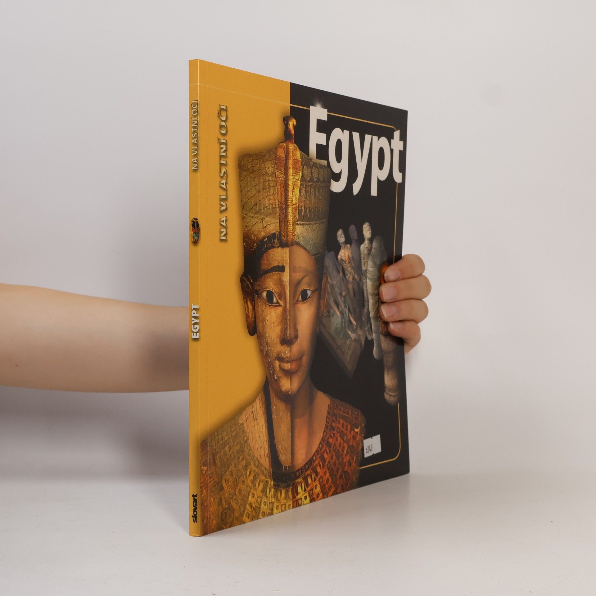 Joyce Tyldesley Egypt