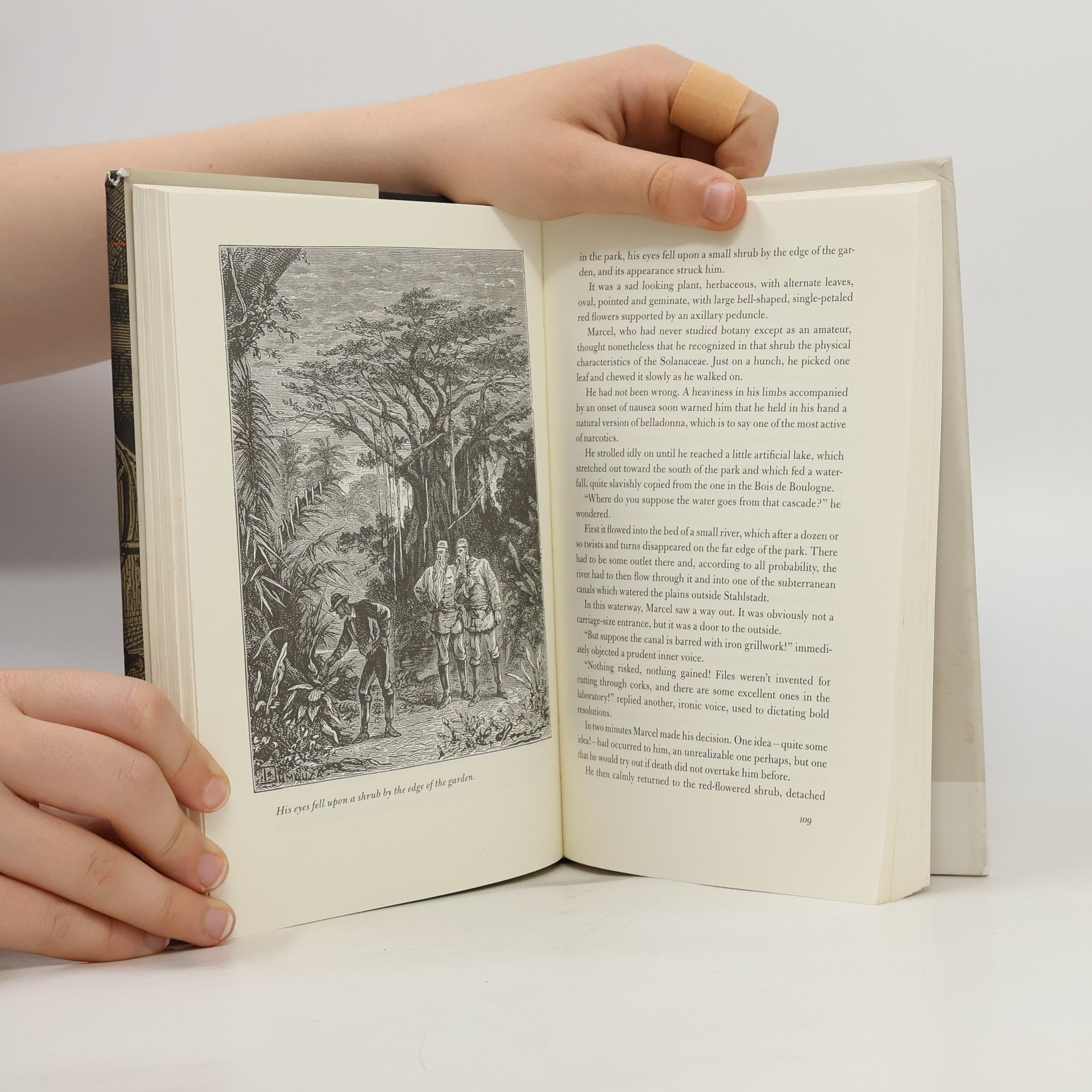 Jules Verne The Begum's Millions