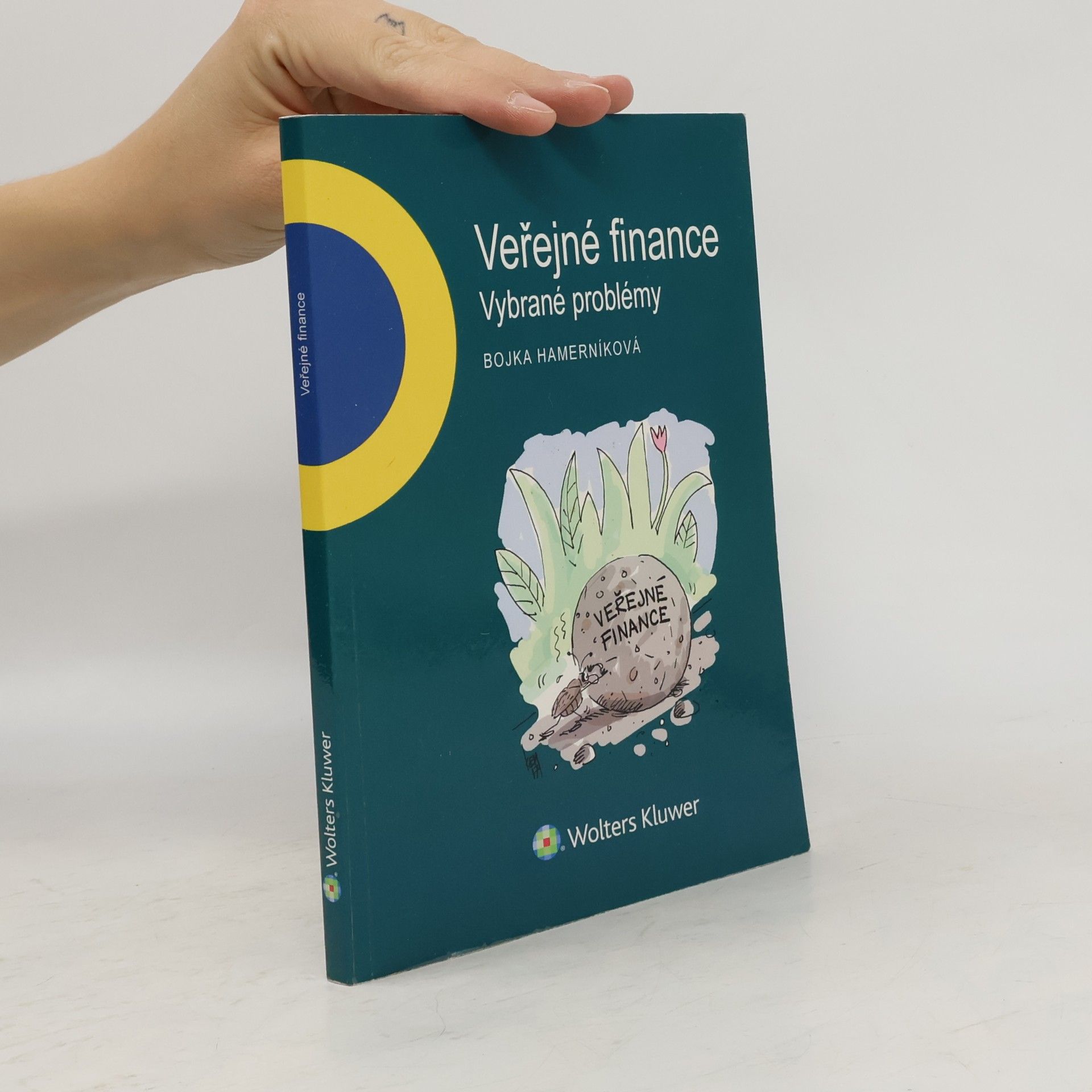 Bojka Hamerníková Veřejné finance - vybrané problémy