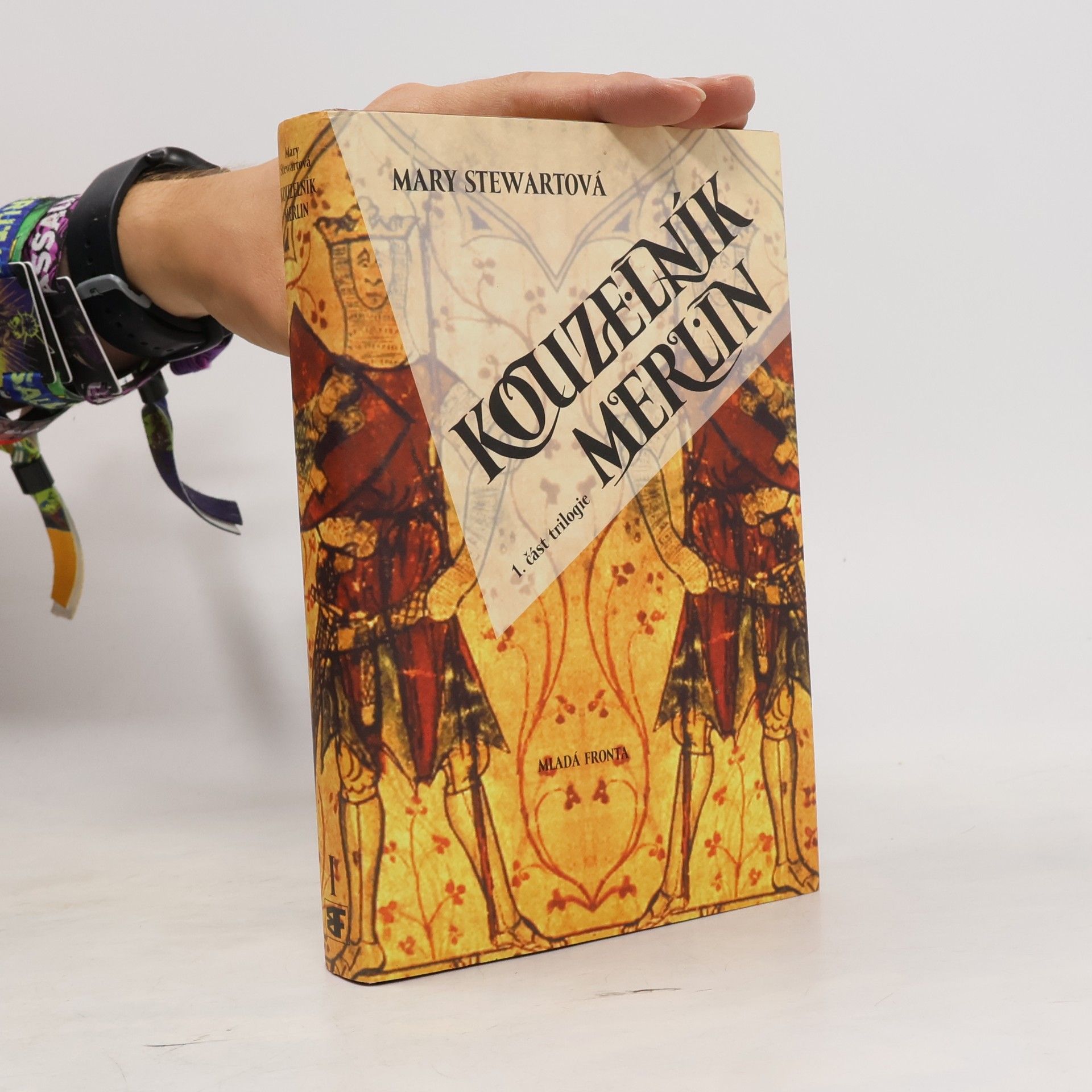 Mary Stewart Kouzelník Merlin