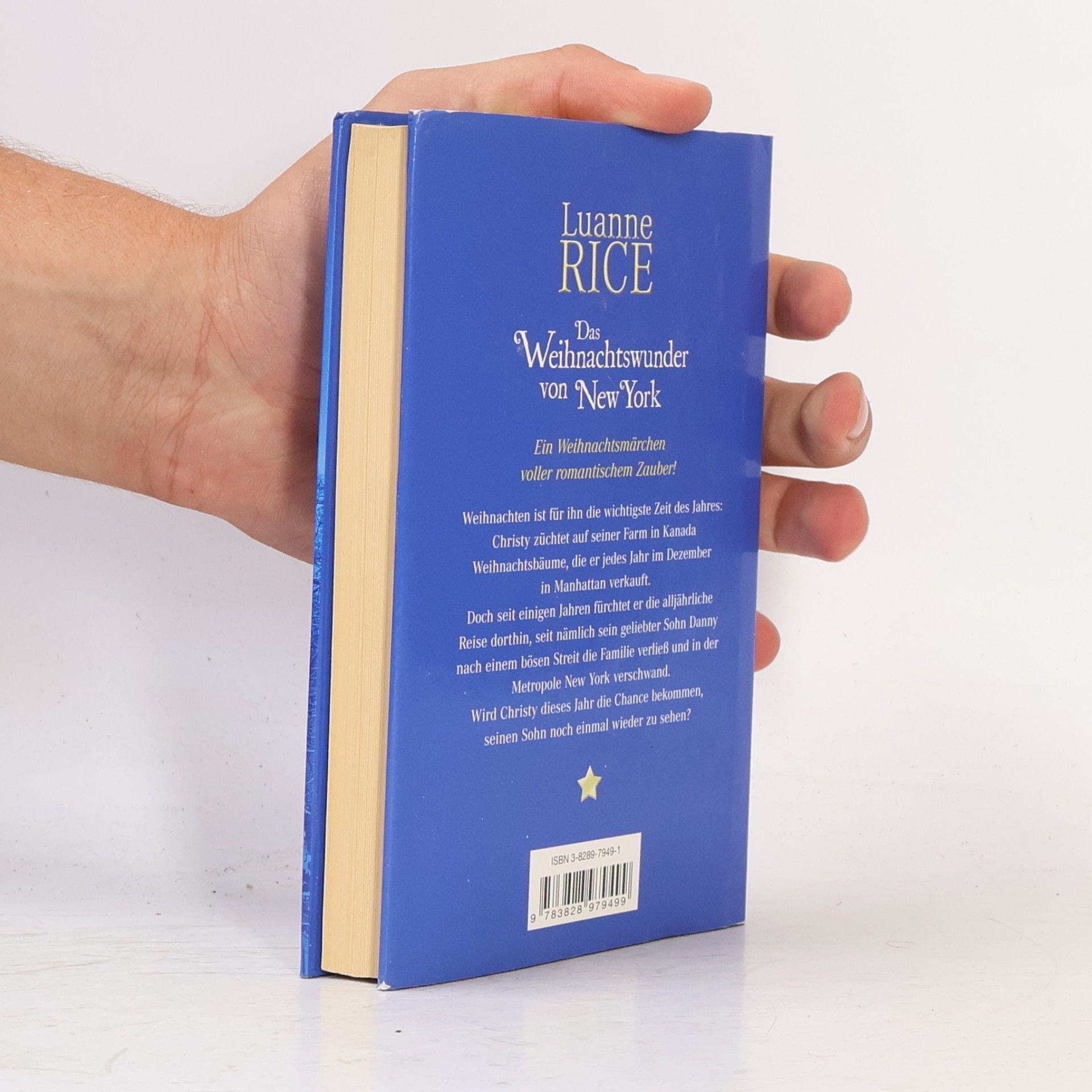 Luanne Rice Das Weihnachtswunder von New York