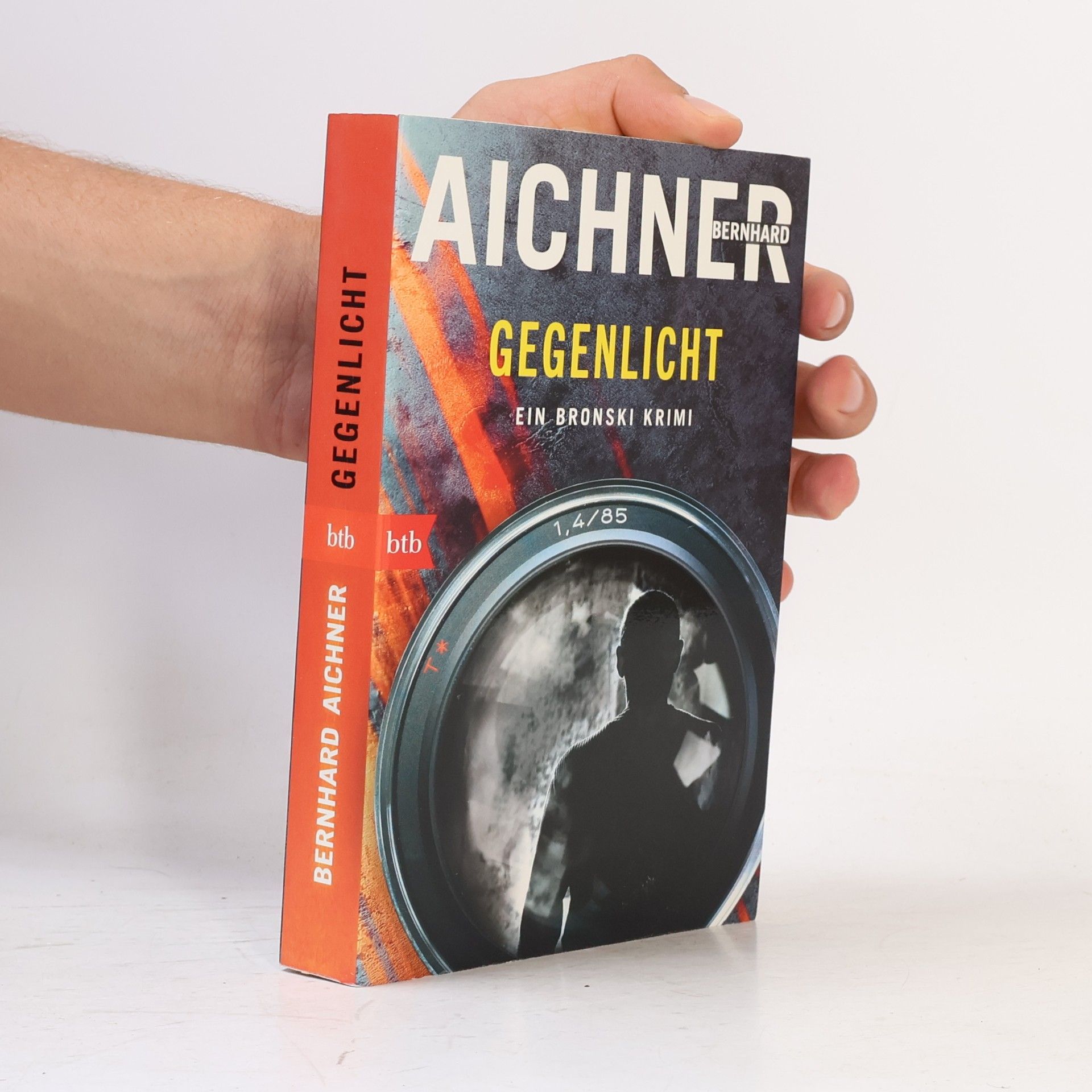 Bernhard Aichner Gegenlicht