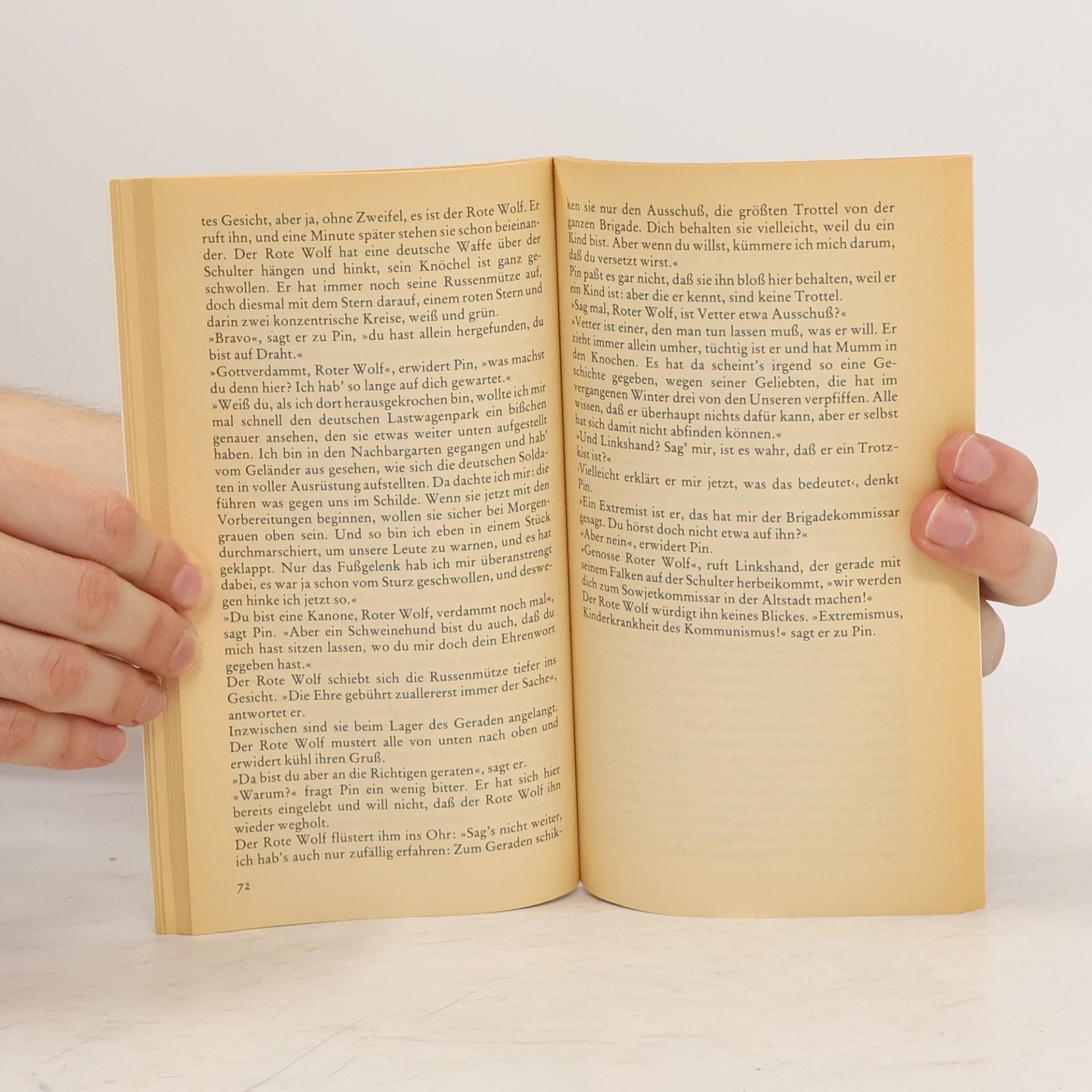 Italo Calvino Wo Spinnen ihre Nester bauen