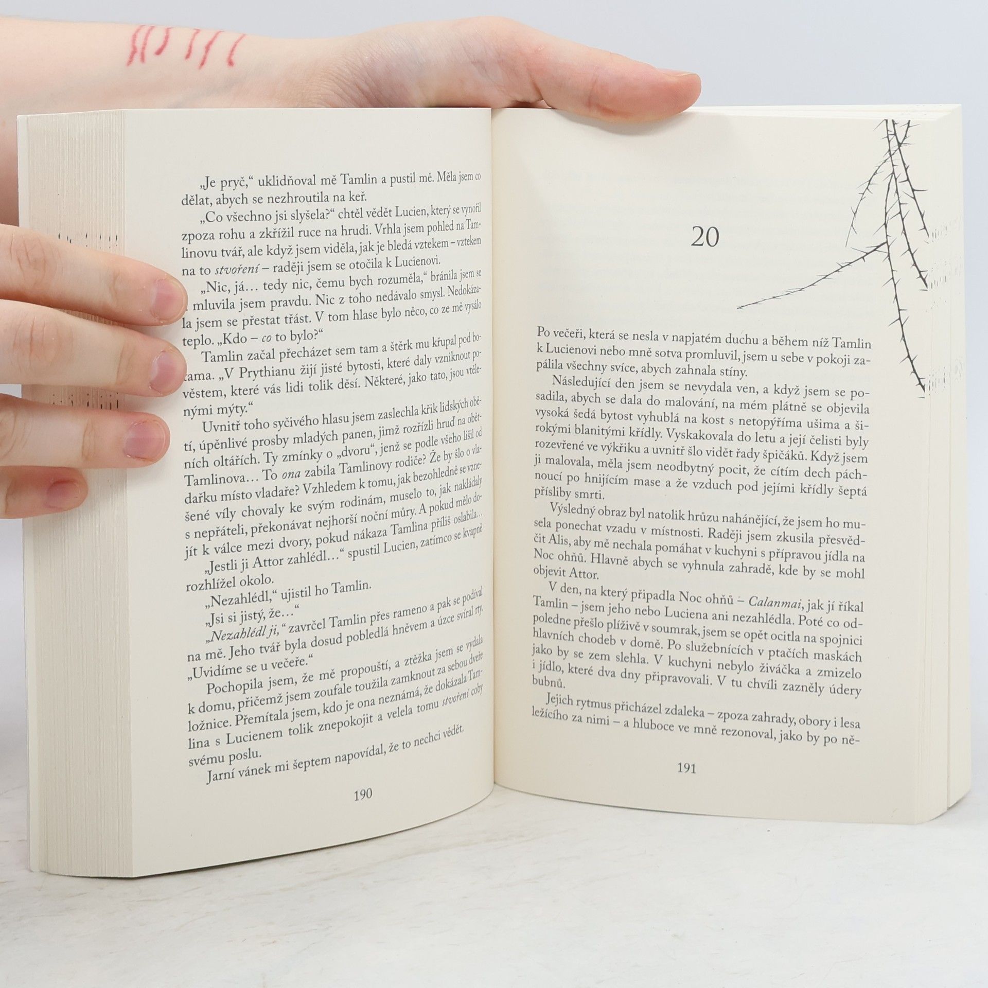 Sarah J. Maas Dvůr trnů a růží 1-4
