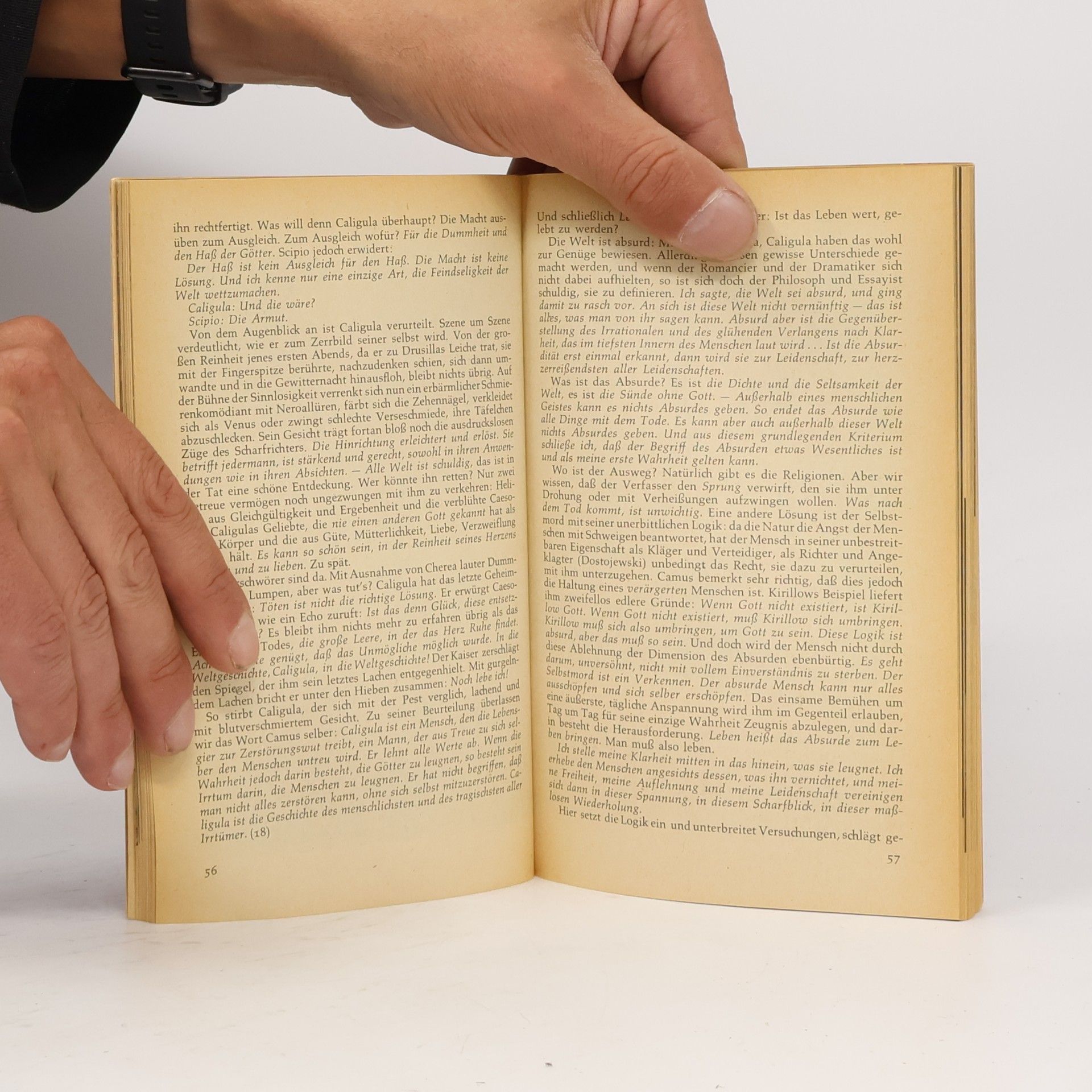 Morvan Lebesque Albert Camus. In Selbstzeugnissen und Bilddokumenten
